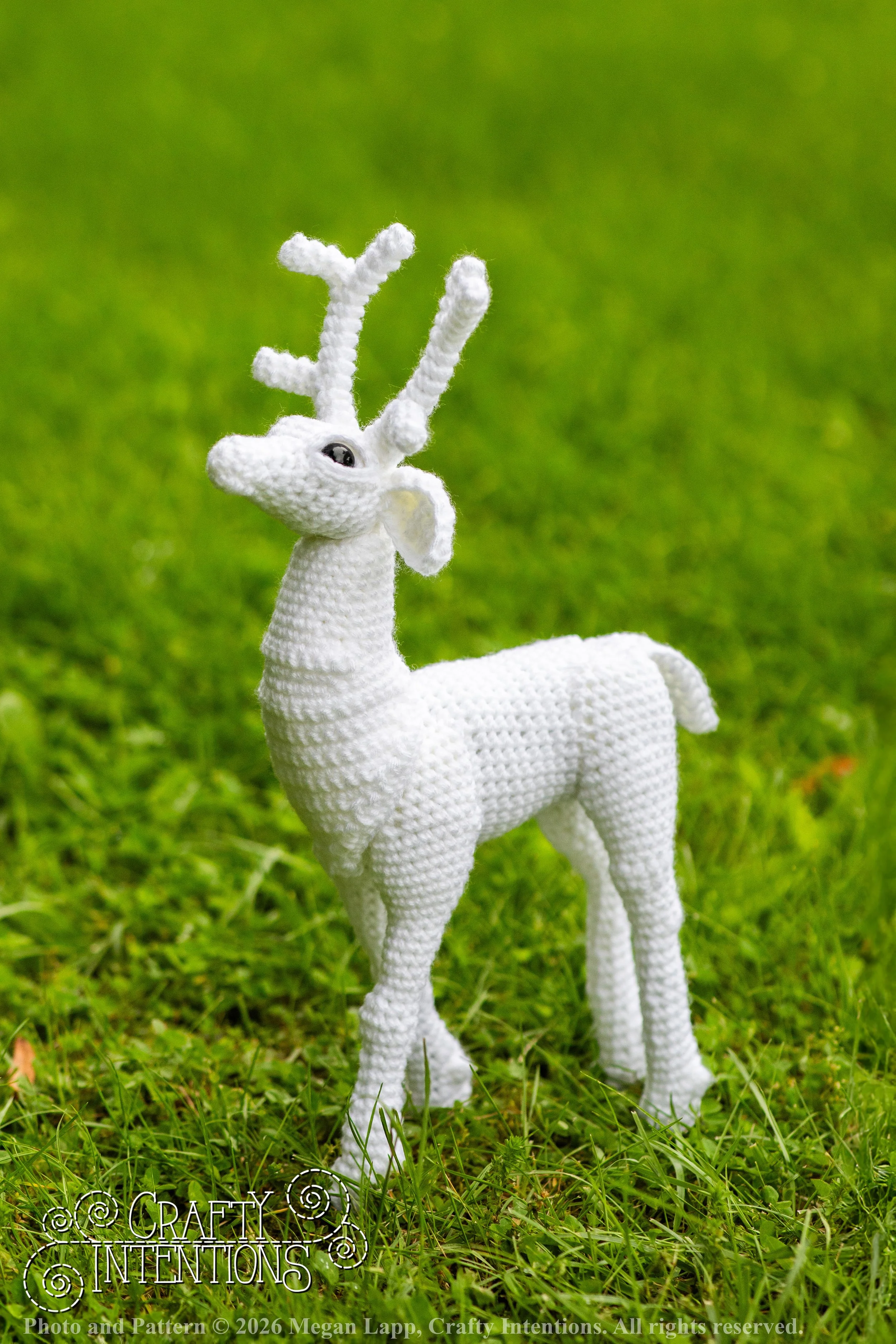 IMG_8677deerandpen edits_2wlac.jpg