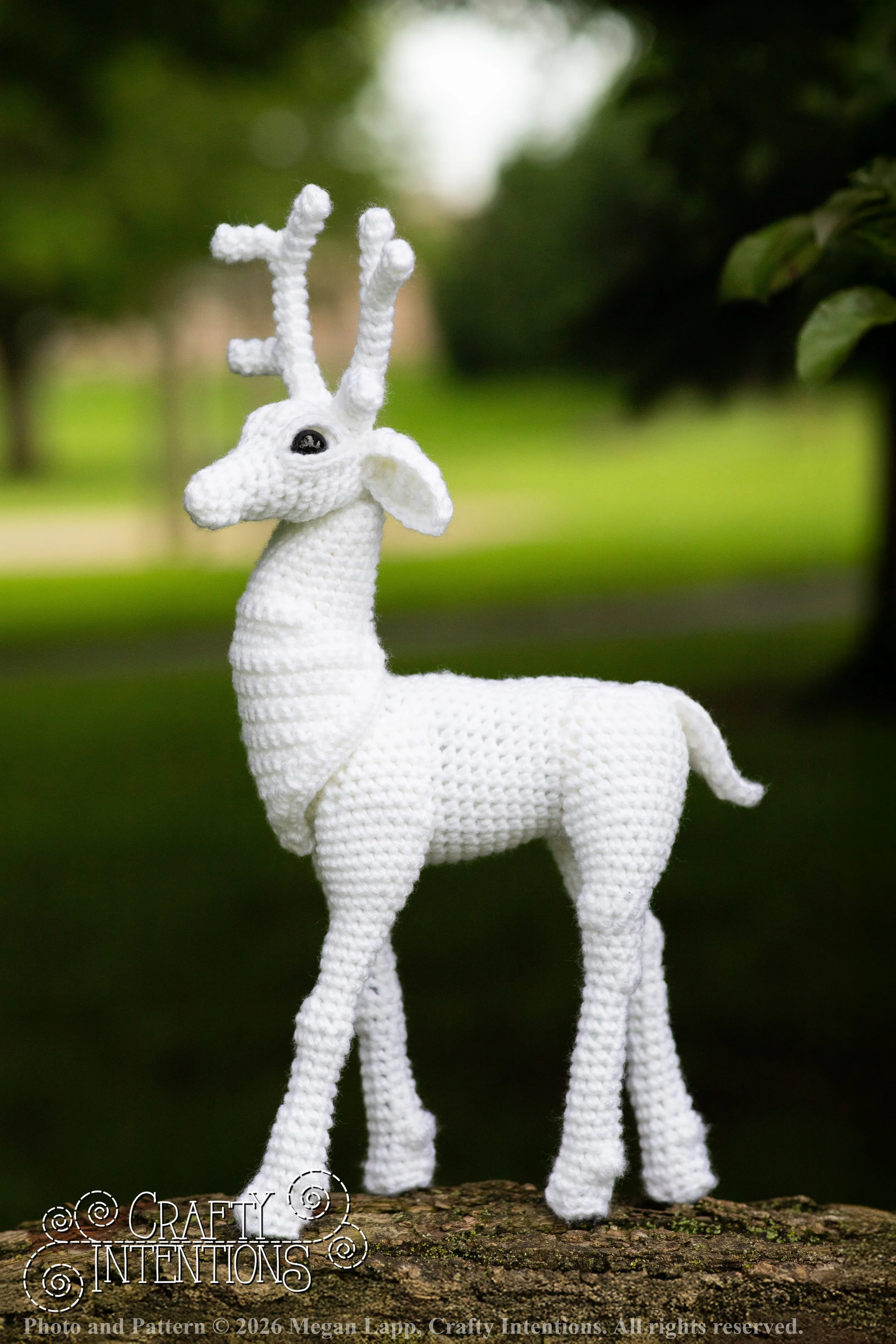 IMG_8681deerandpen edits_2 wlac.jpg