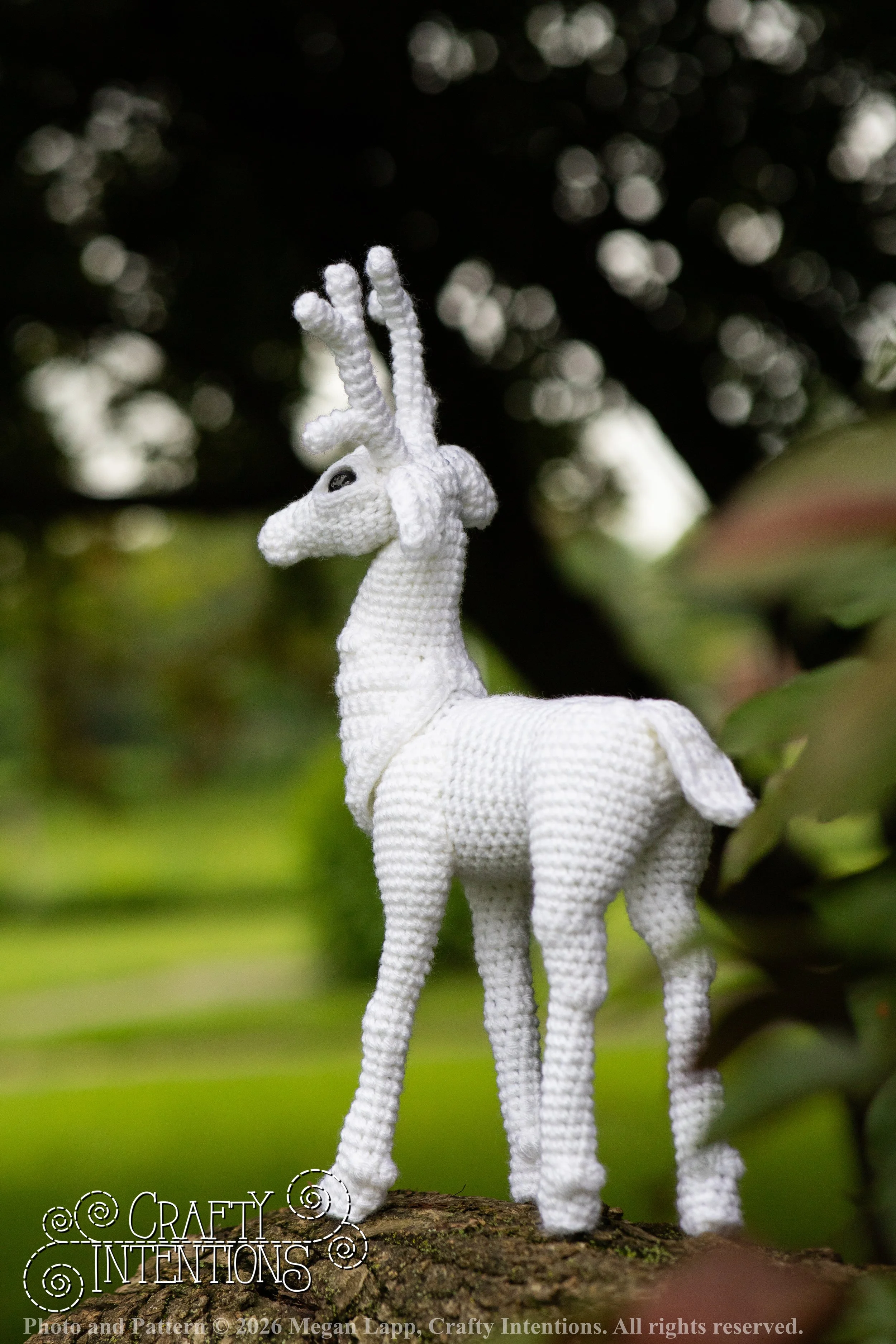 IMG_8688deerandpen edits_wlac.jpg