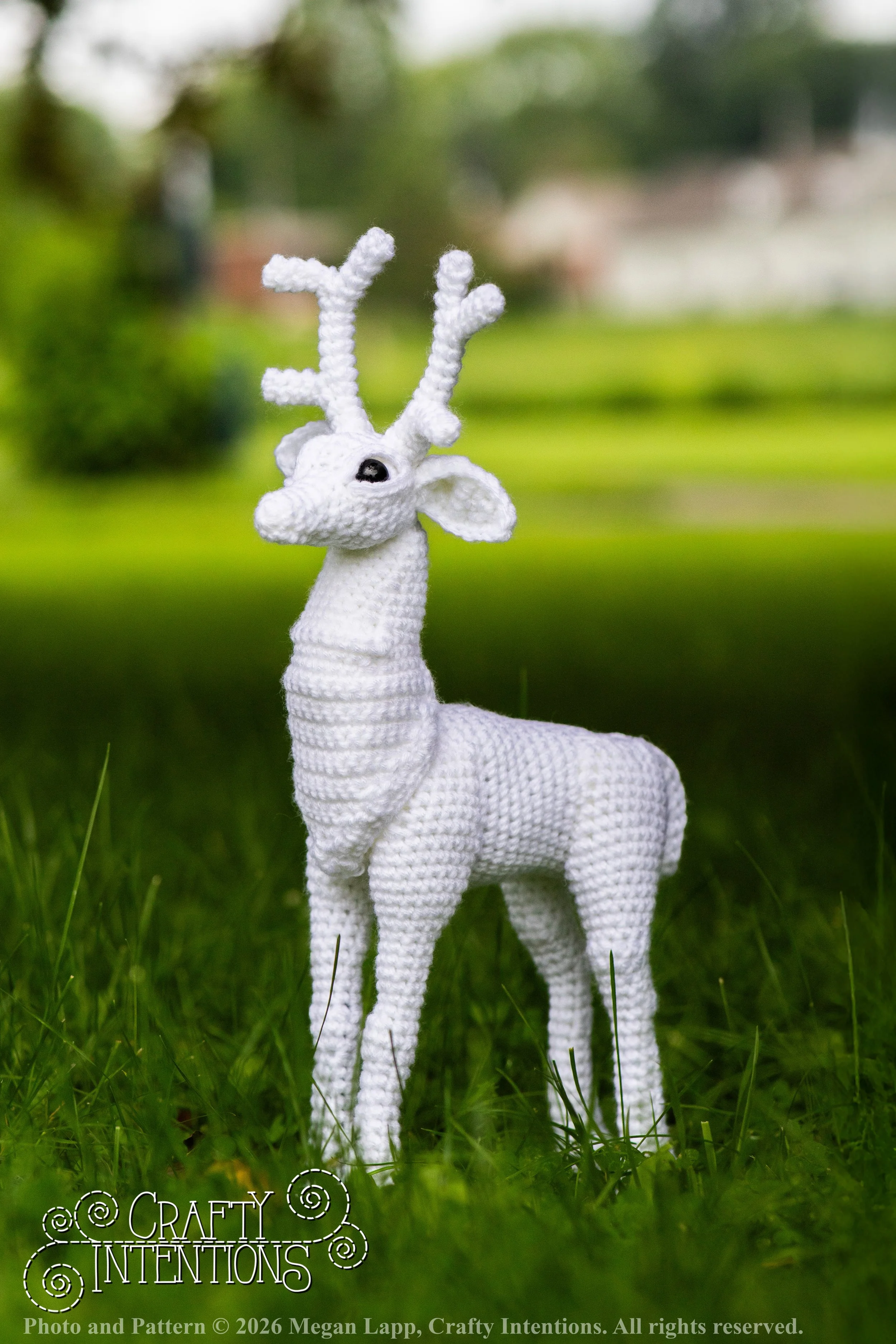 IMG_8693deerandpen edits_wlac.jpg