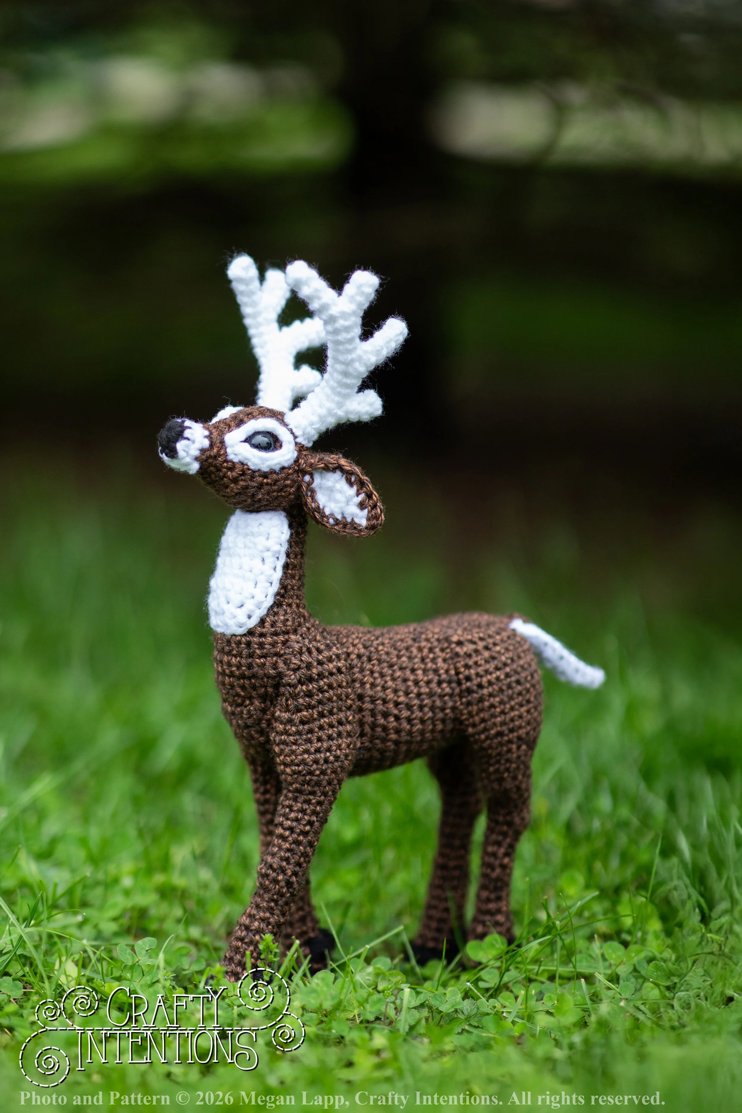 IMG_8702deerandpen edits_2 wlac.jpg