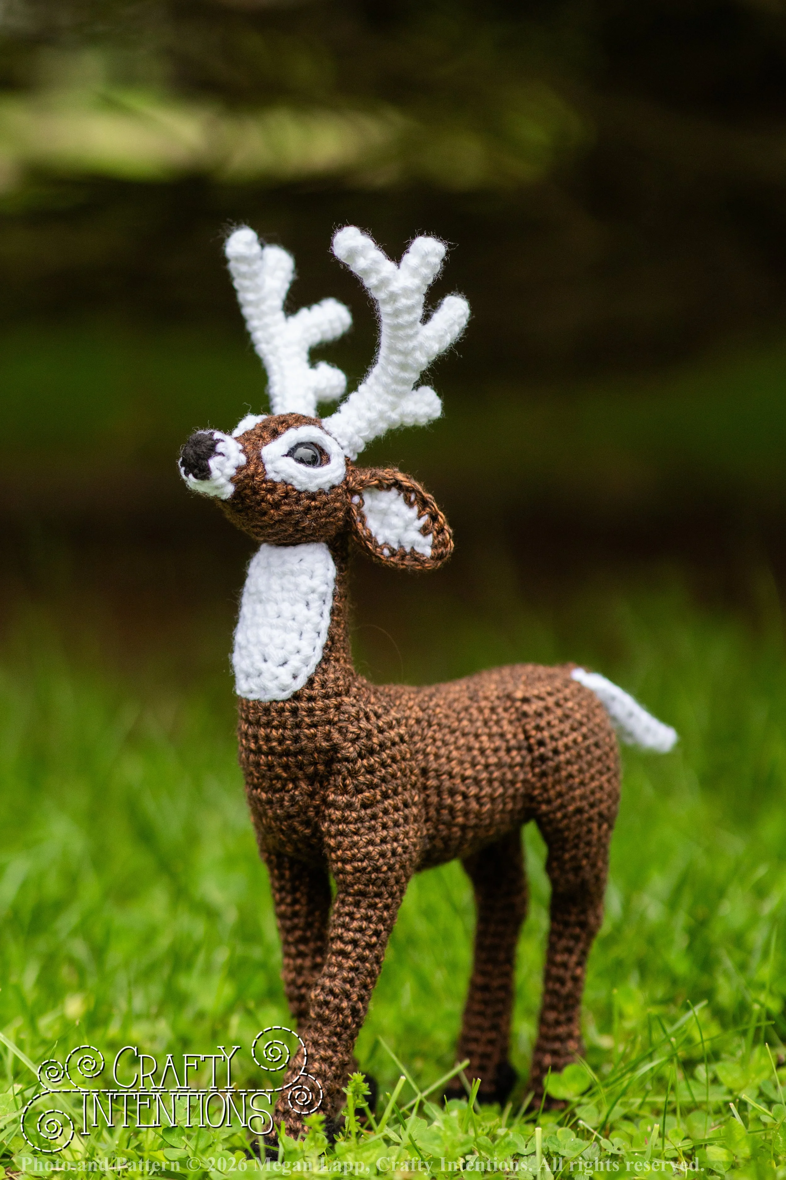 IMG_8705deerandpen edits_wlac.jpg