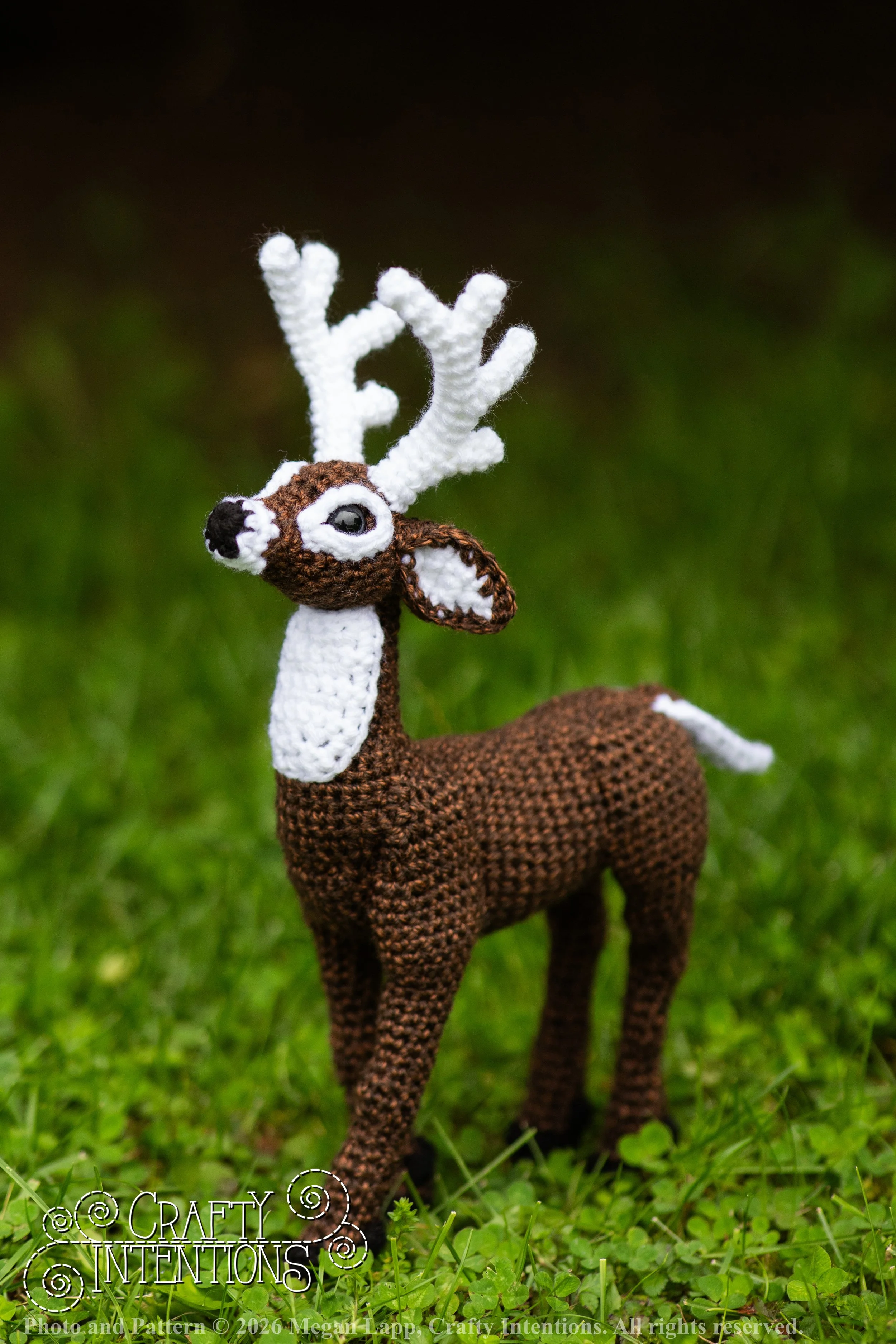 IMG_8704deerandpen edits_wlac.jpg