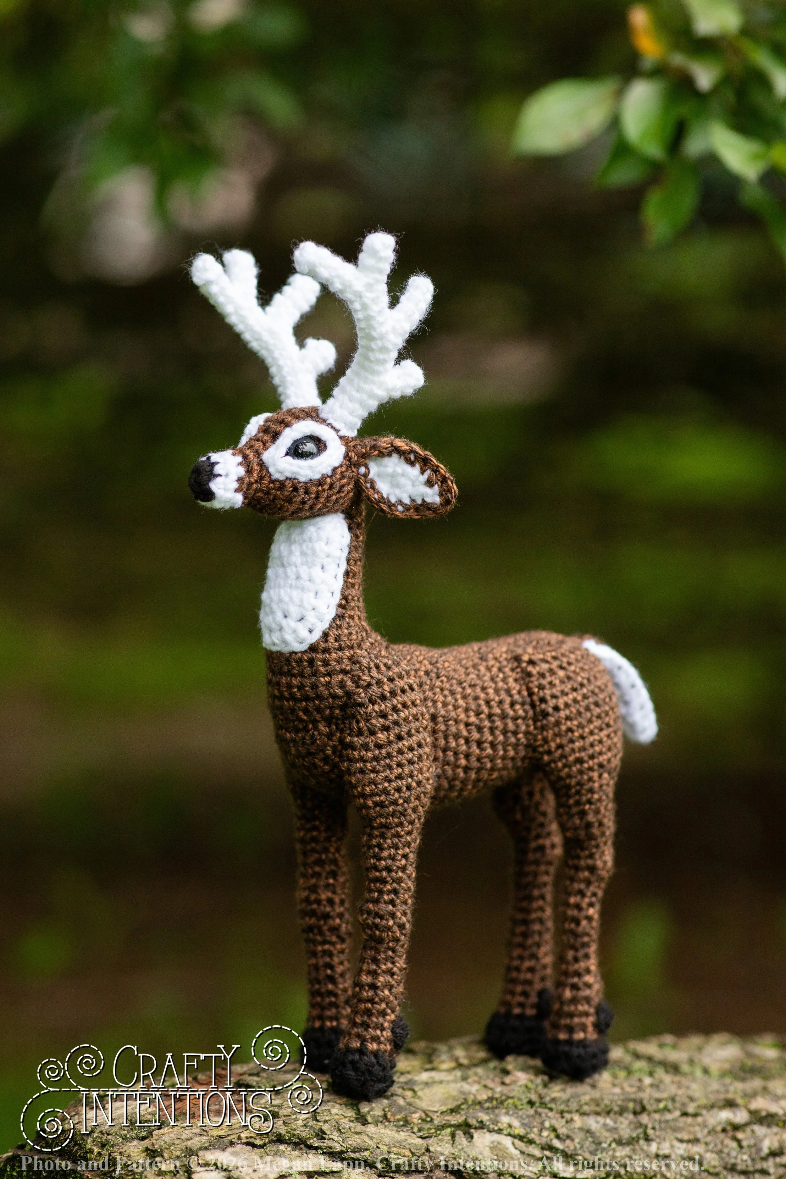 IMG_8711deerandpen edits_2 wlac.jpg