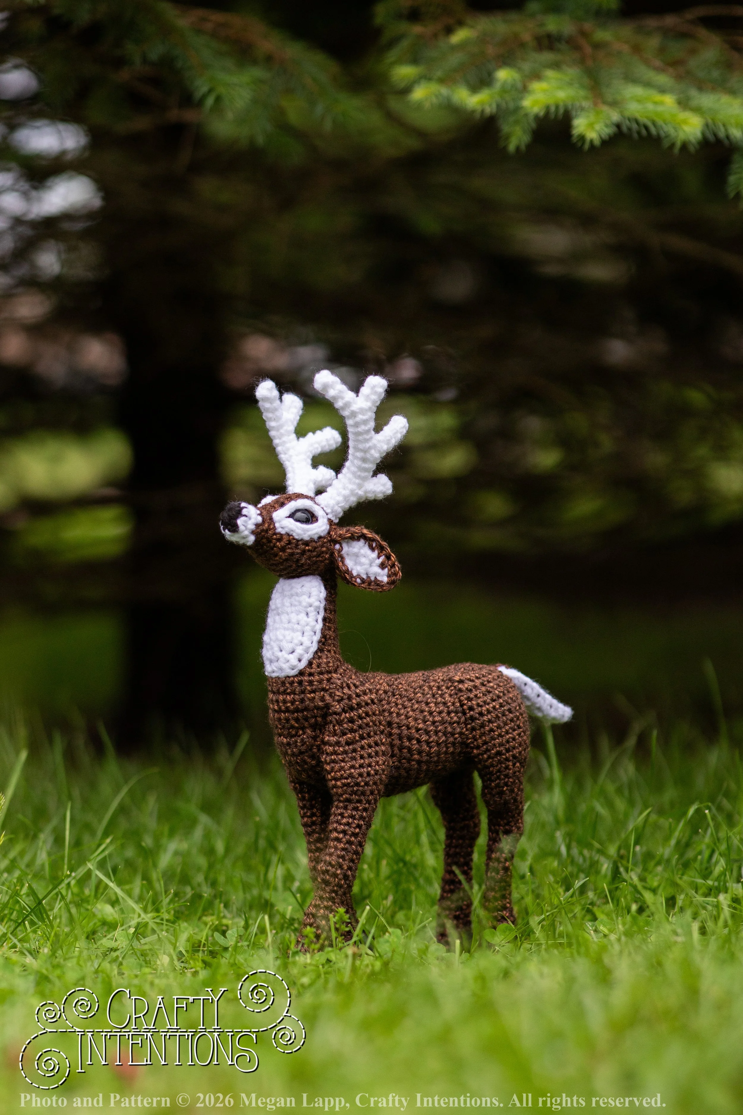 IMG_8710deerandpen edits_wlac.jpg