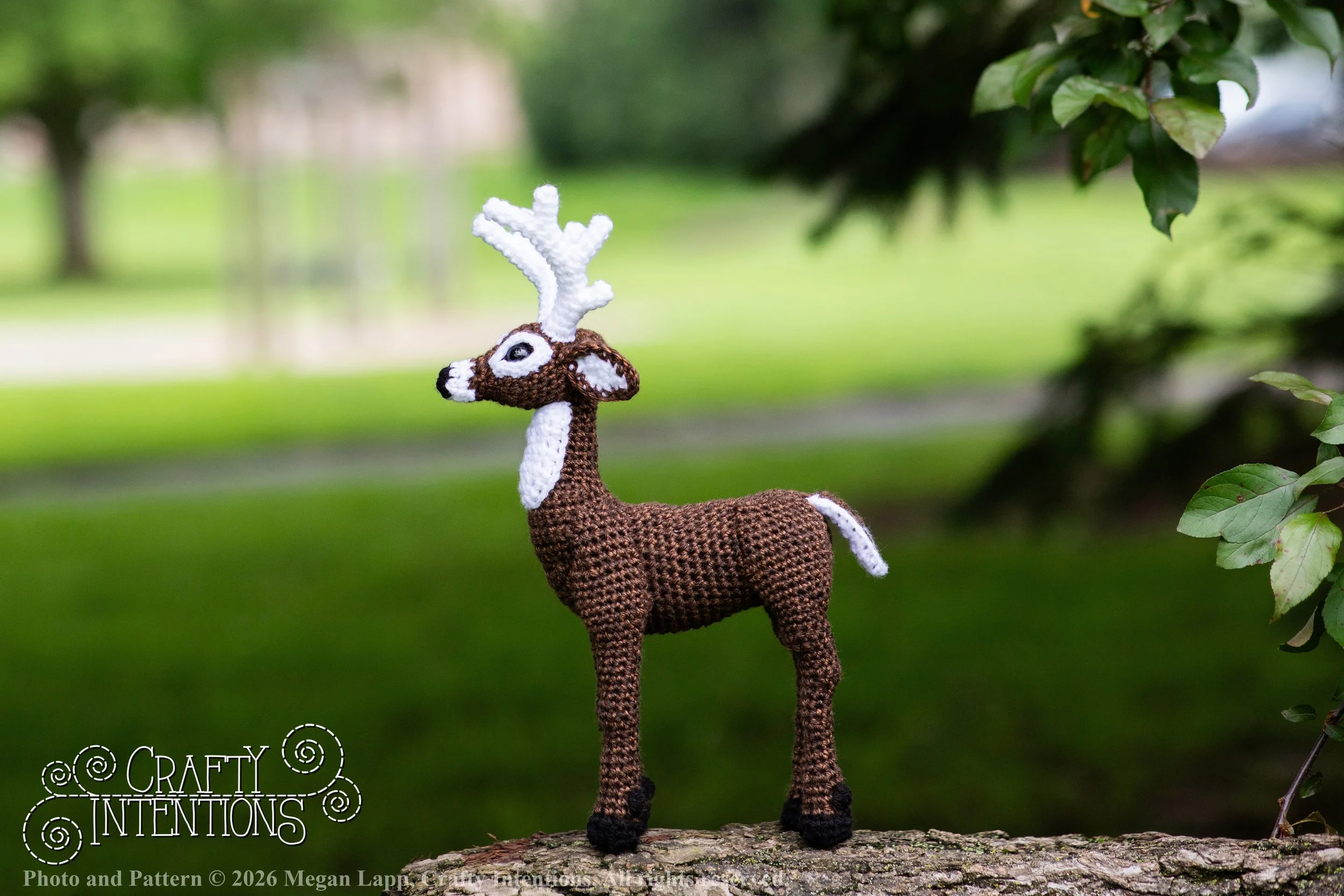 IMG_8718deerandpen edits_wlac.jpg