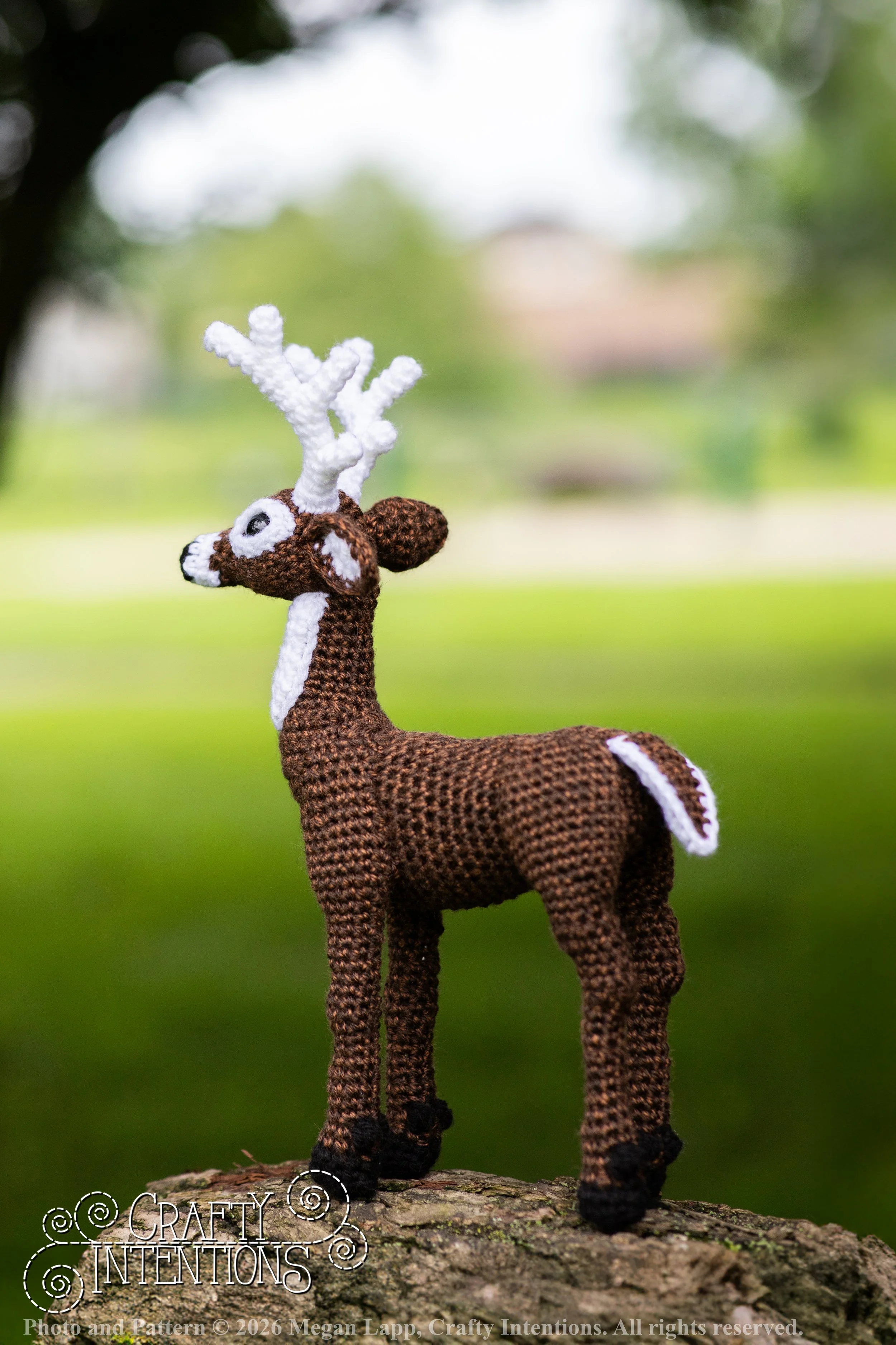 IMG_8720deerandpen edits_2wlac.jpg