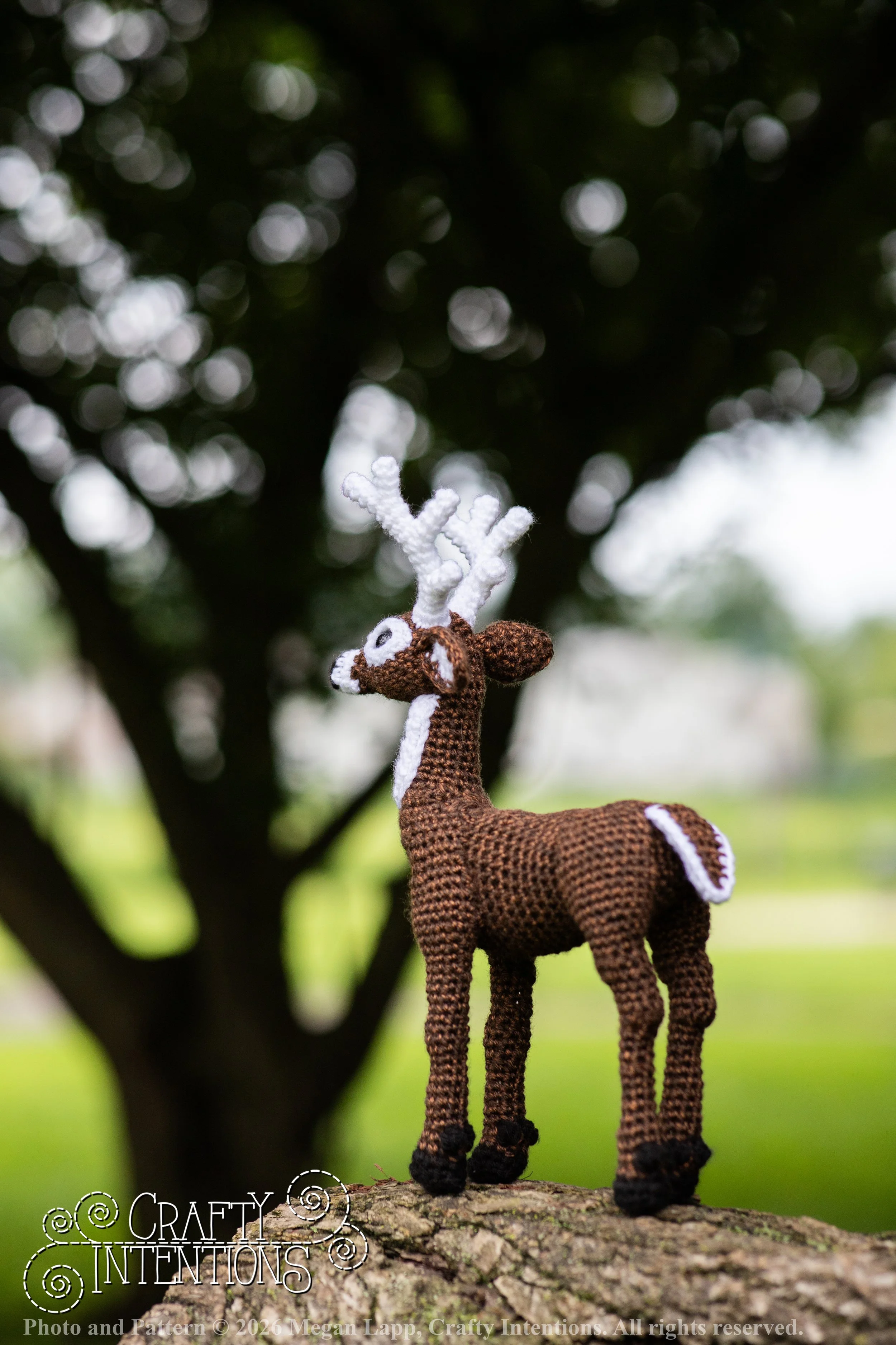 IMG_8722deerandpen edits_wlac.jpg