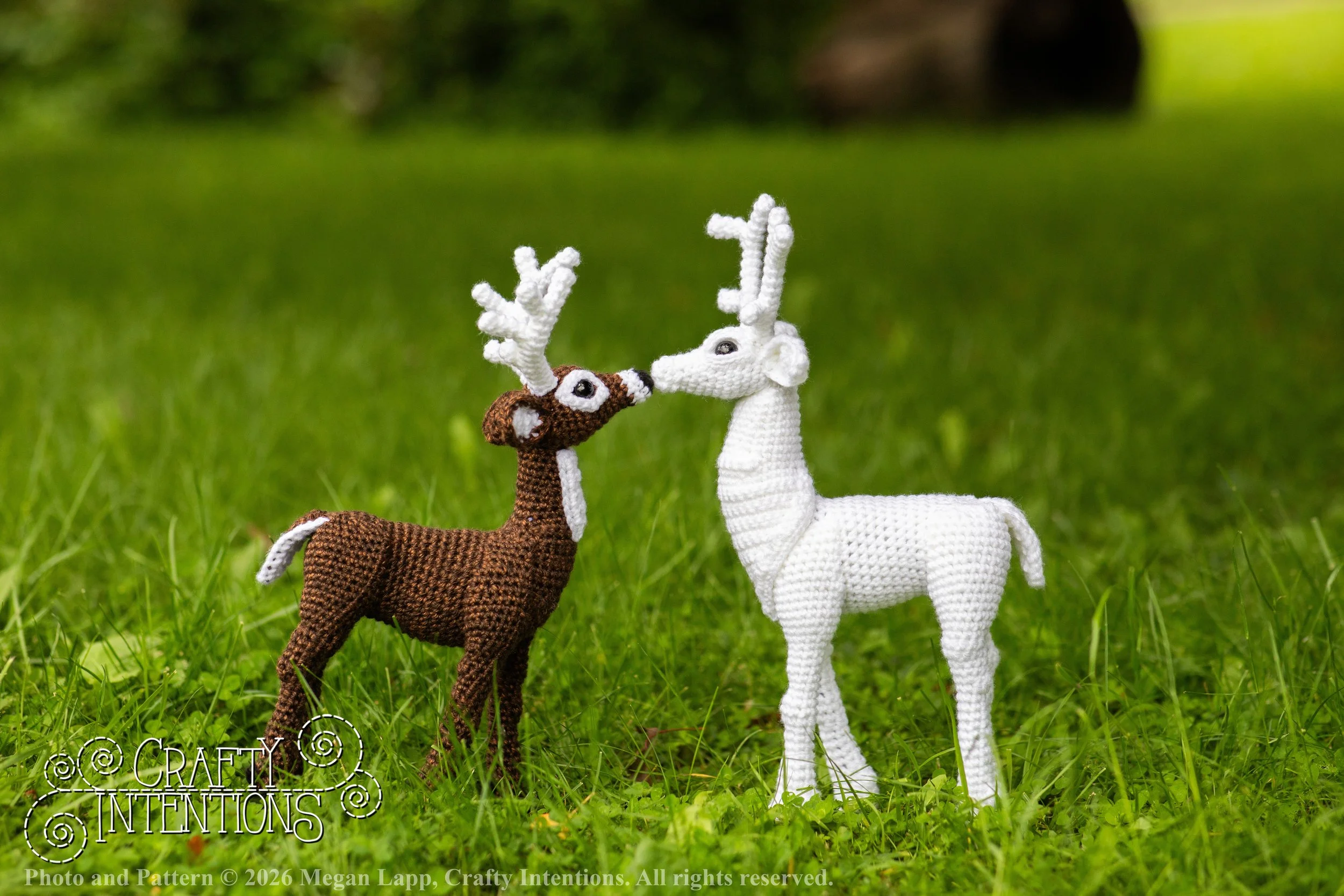 IMG_8725deerandpen edits_wlac.jpg