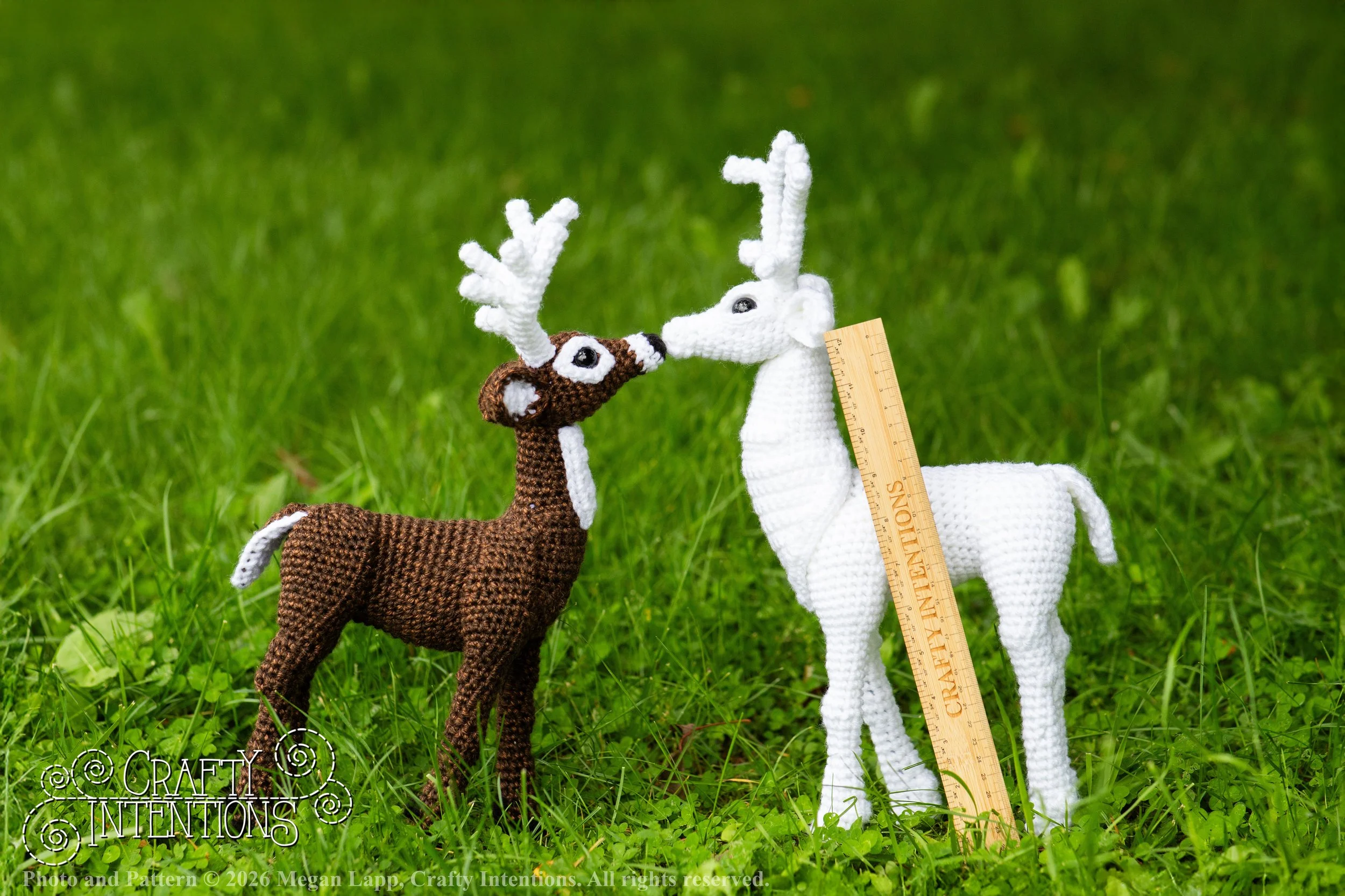 IMG_8727deerandpen edits_2wlac.jpg