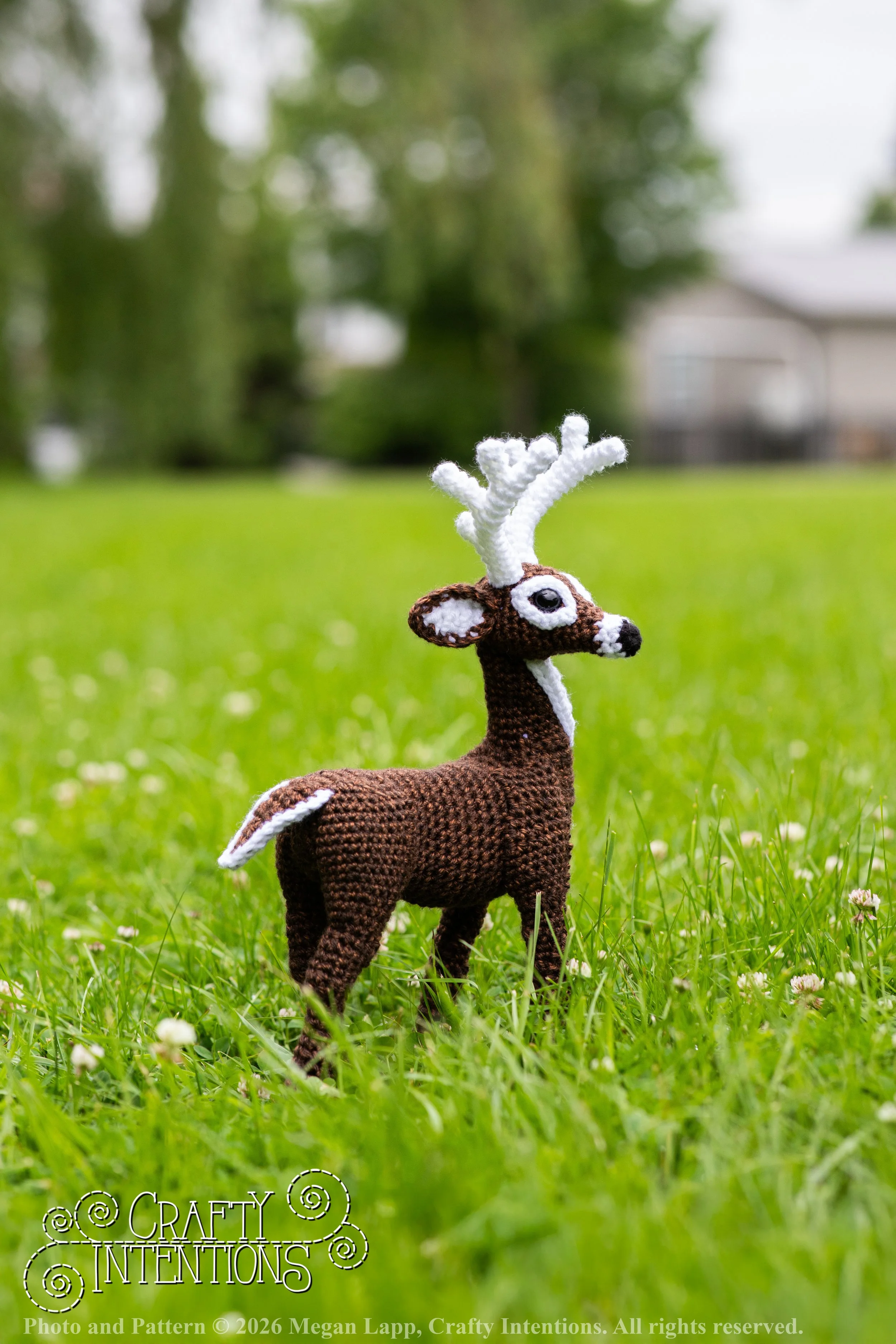 IMG_8728deerandpen edits_2wlac.jpg