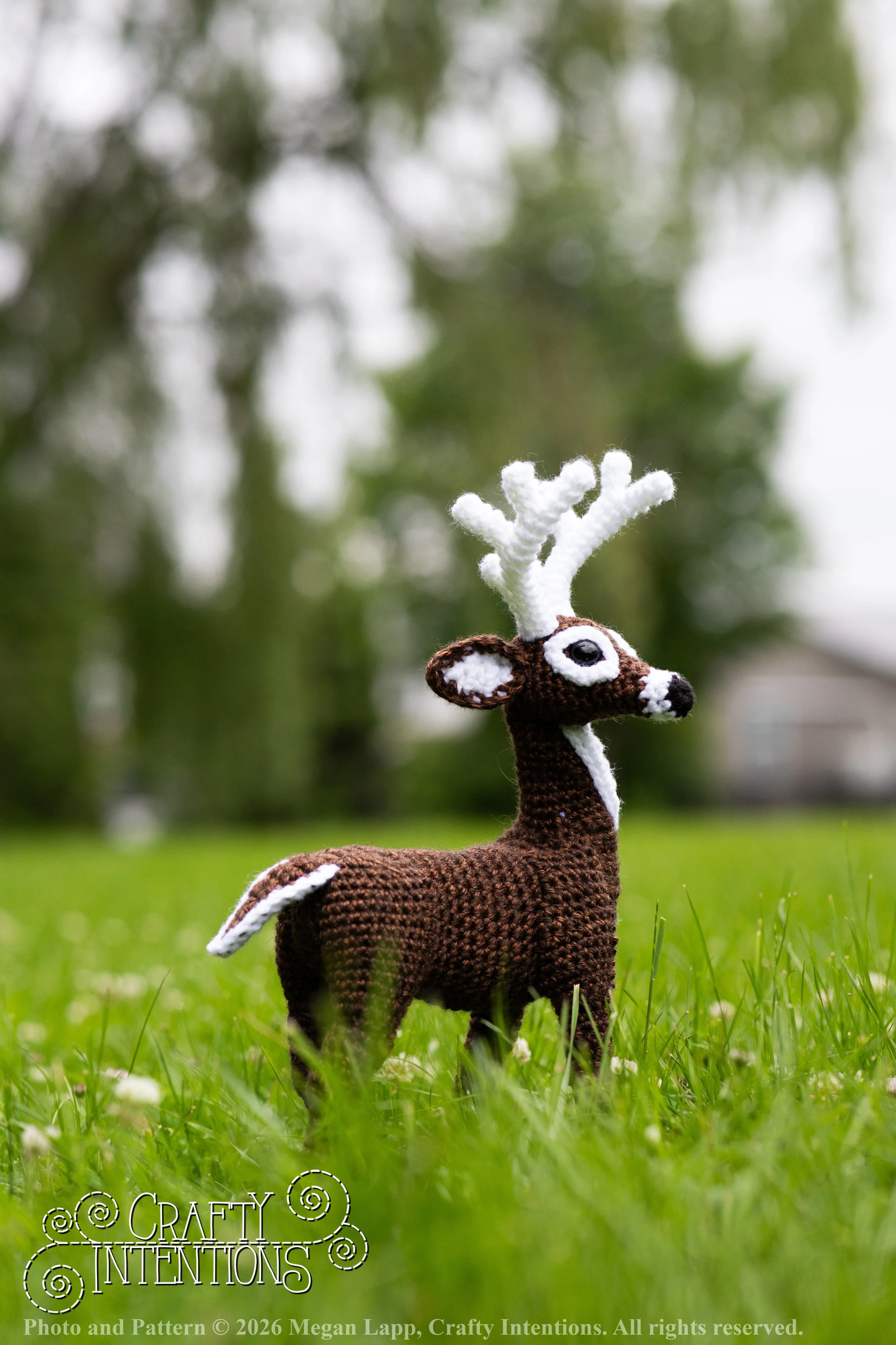 IMG_8734deerandpen edits_wlac.jpg