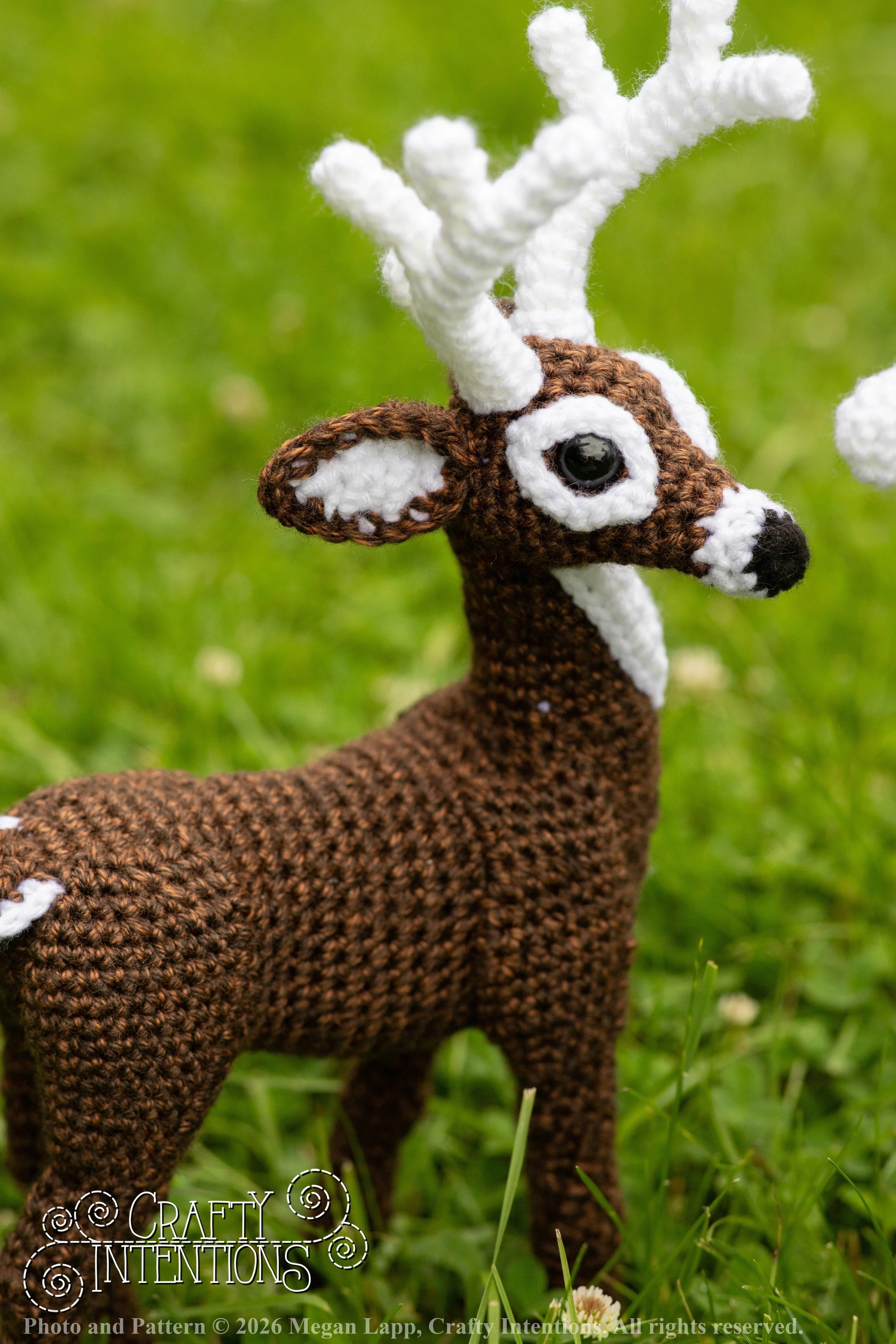 IMG_8738deerandpen edits_wlac.jpg