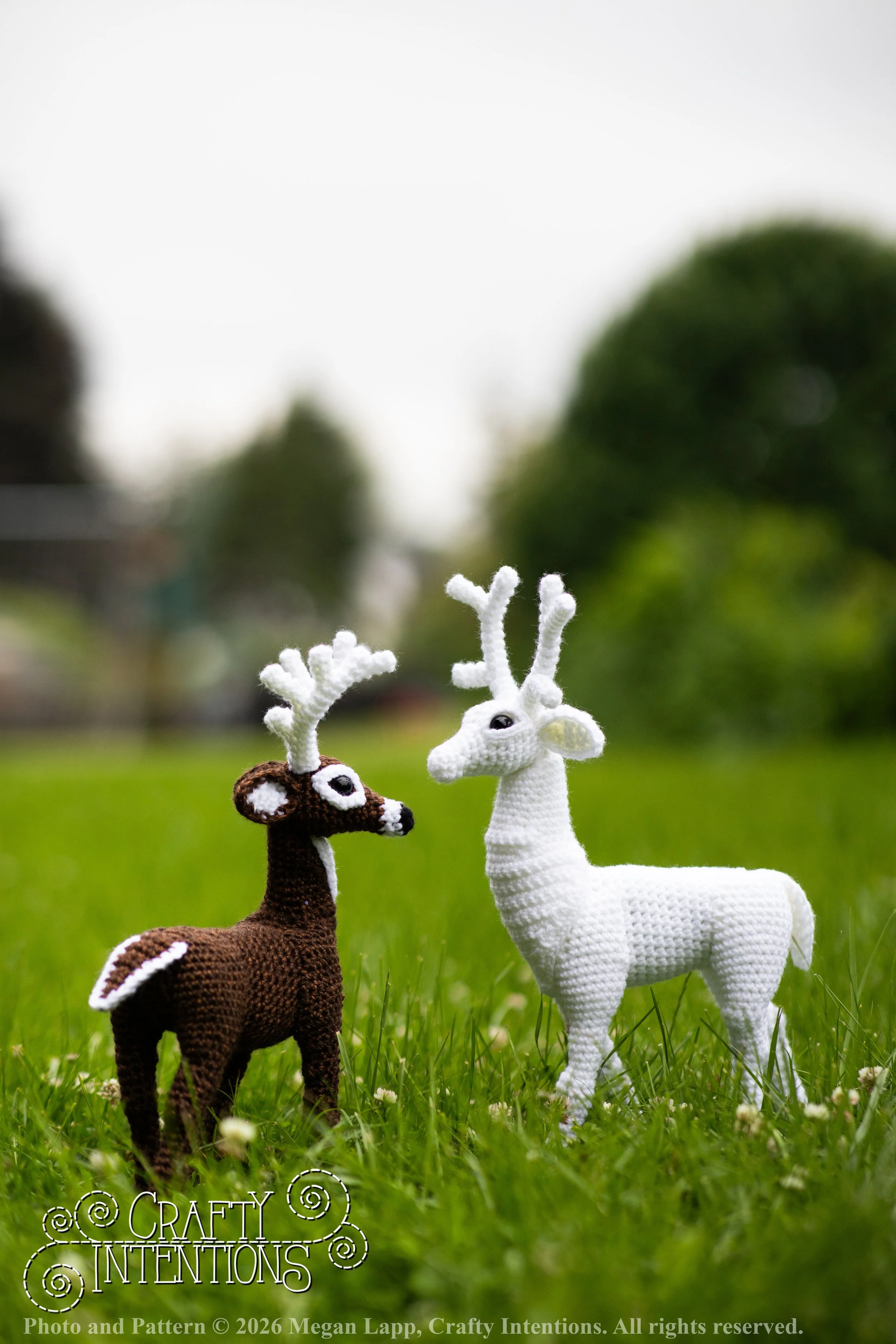 IMG_8747deerandpen edits_wlac.jpg