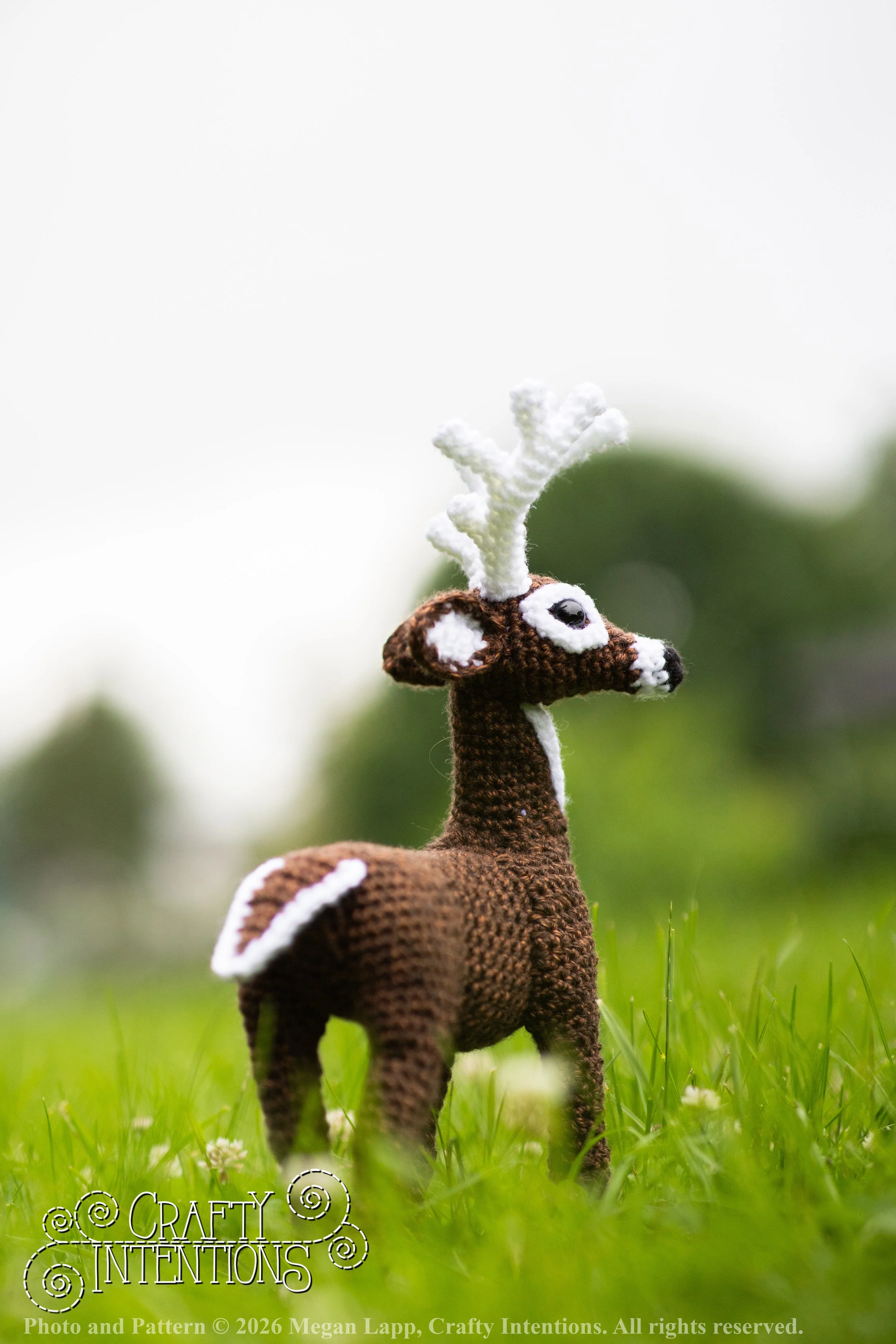 IMG_8751deerandpen edits_wlac.jpg