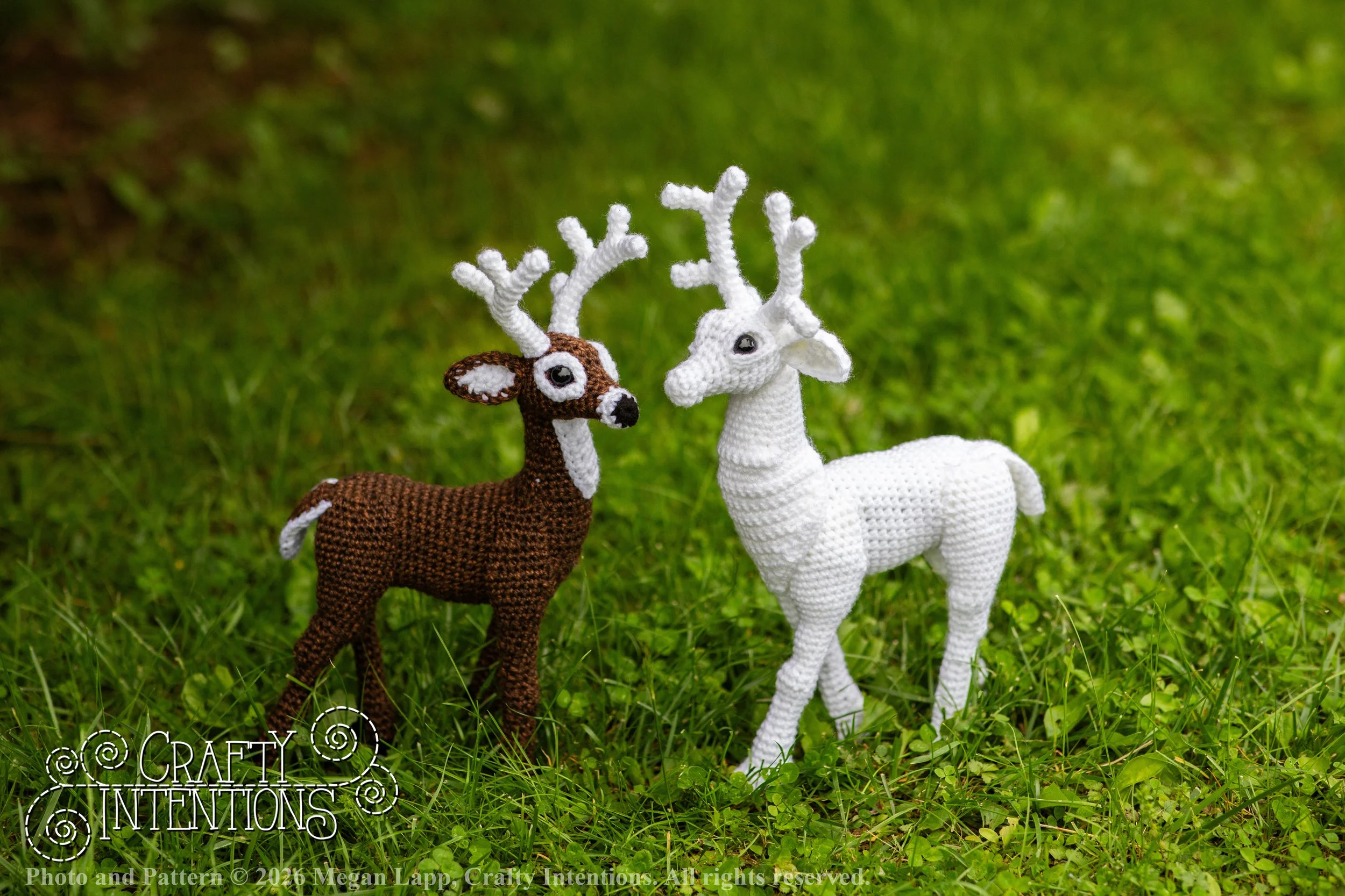 IMG_8834deerandpen edits_ wlac.jpg