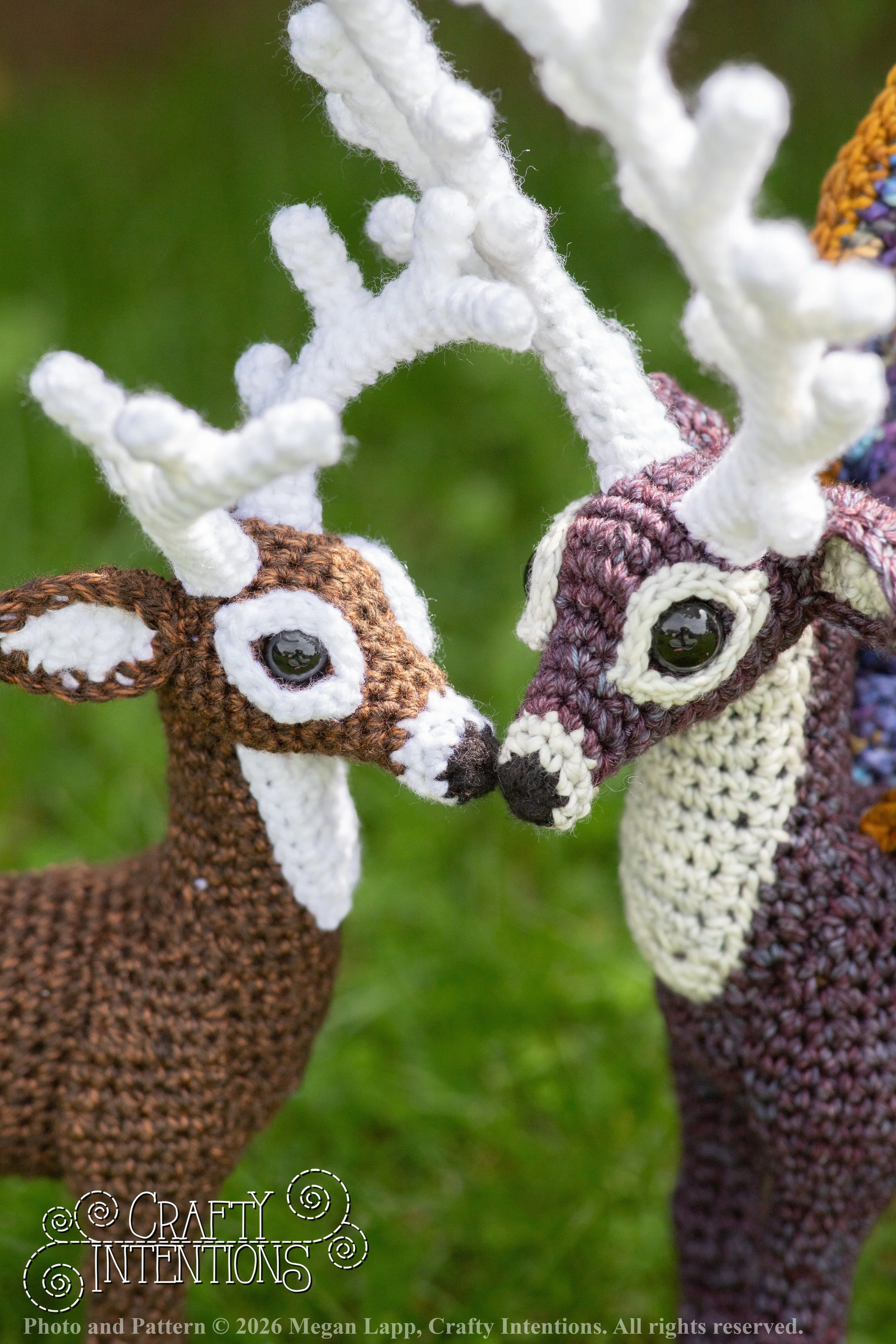 IMG_8853deerandpen edits_wlac.jpg