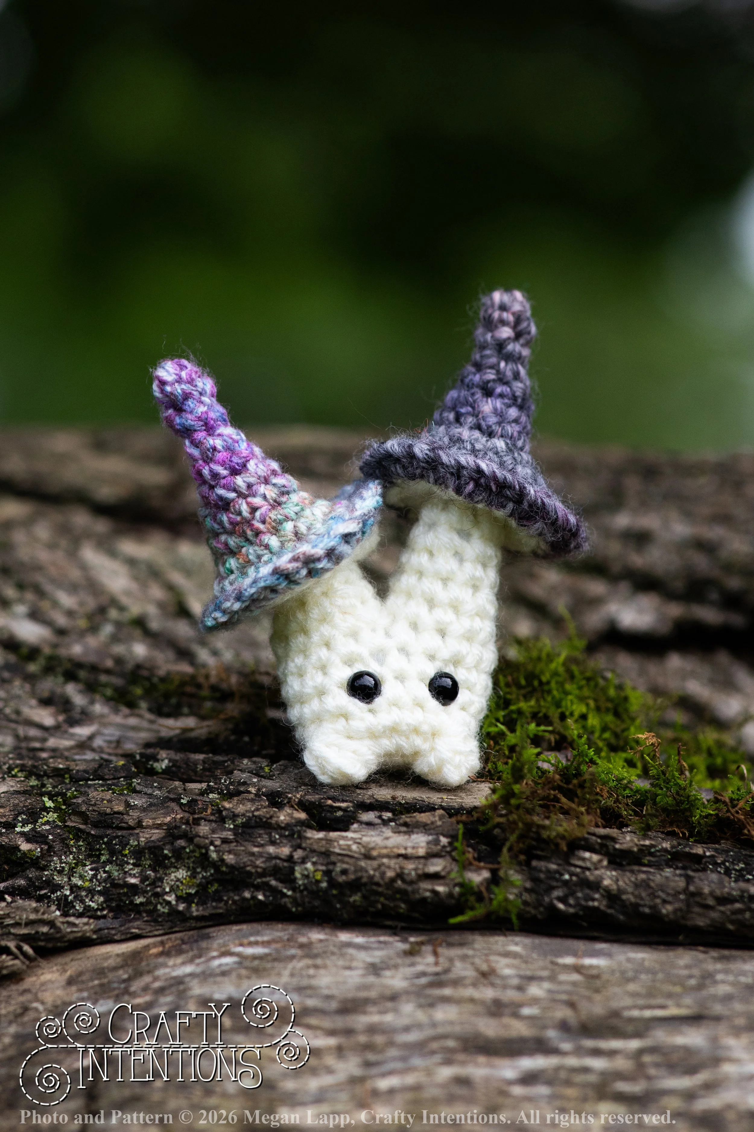 IMG_8882Sprout wlac.jpg