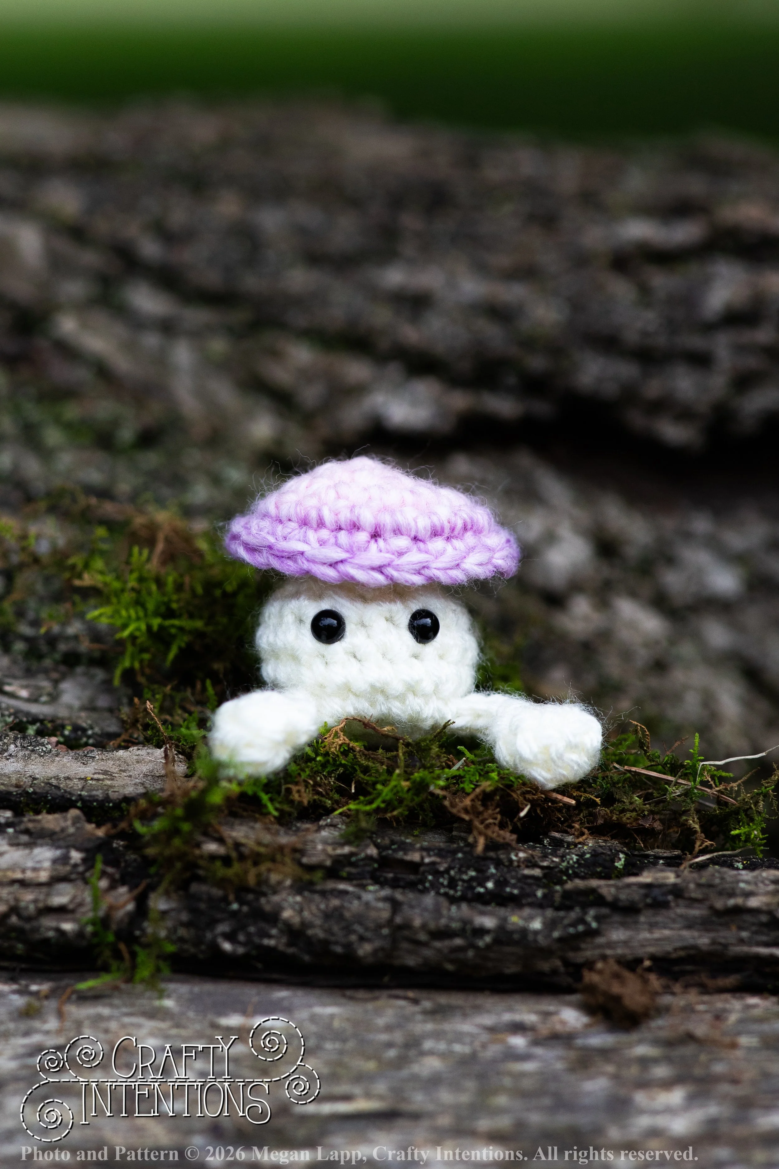 IMG_8897Sprout wlac.jpg