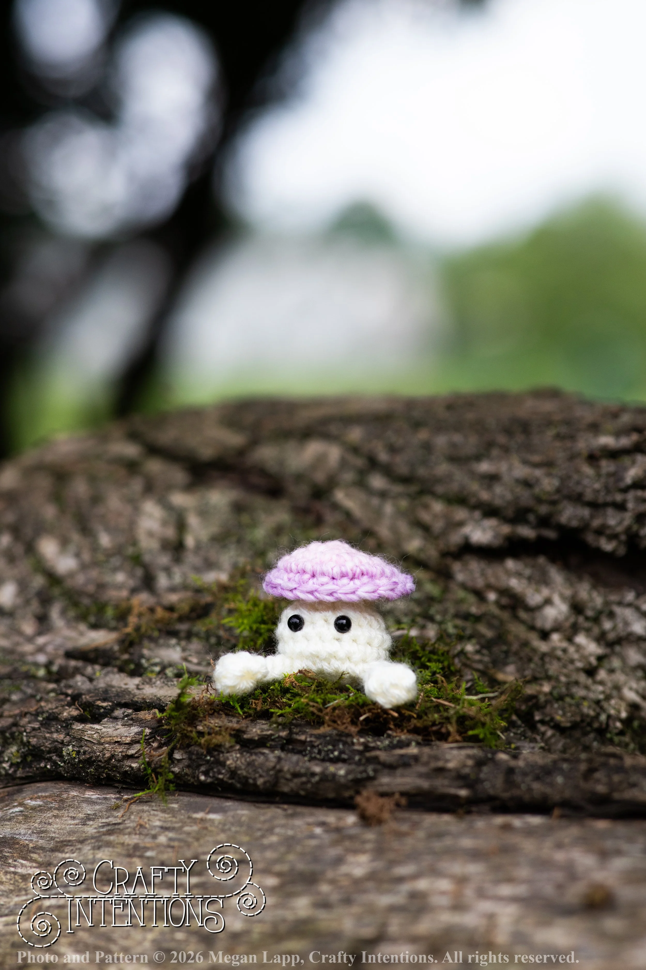 IMG_8898Sprout wlac.jpg