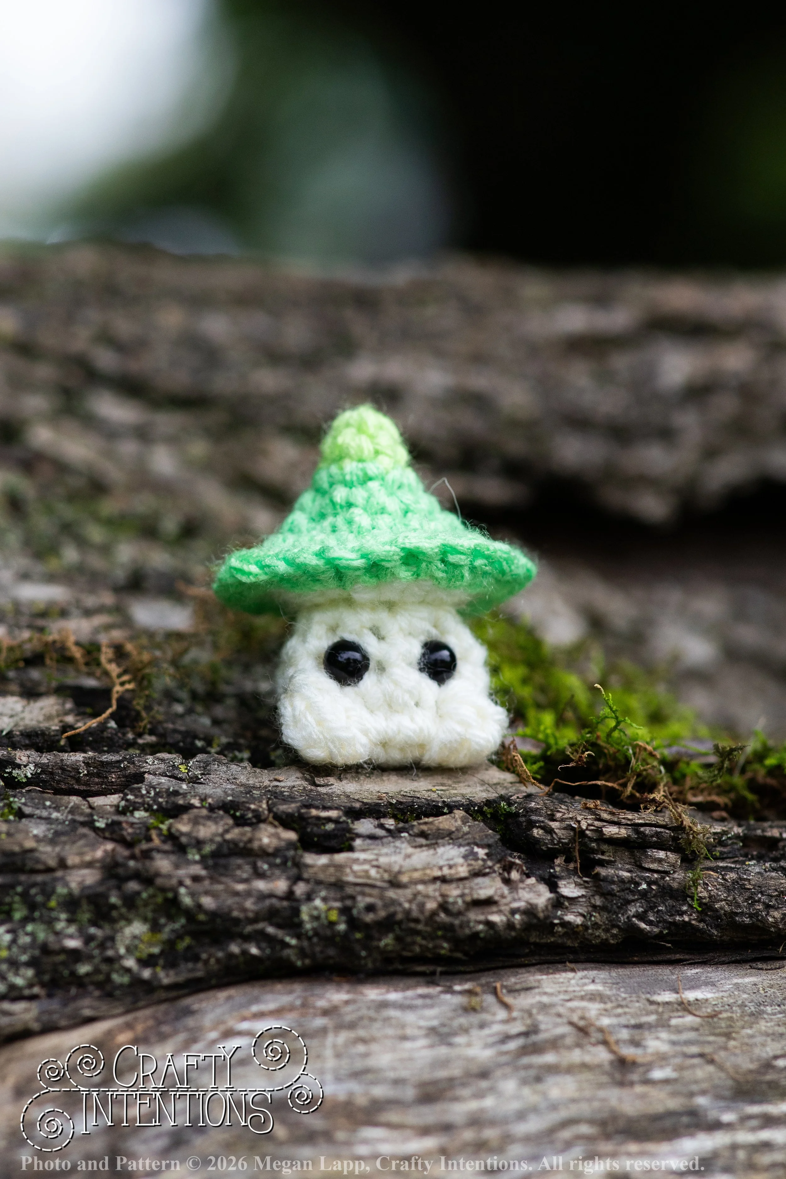 IMG_8913Sprout wlac.jpg