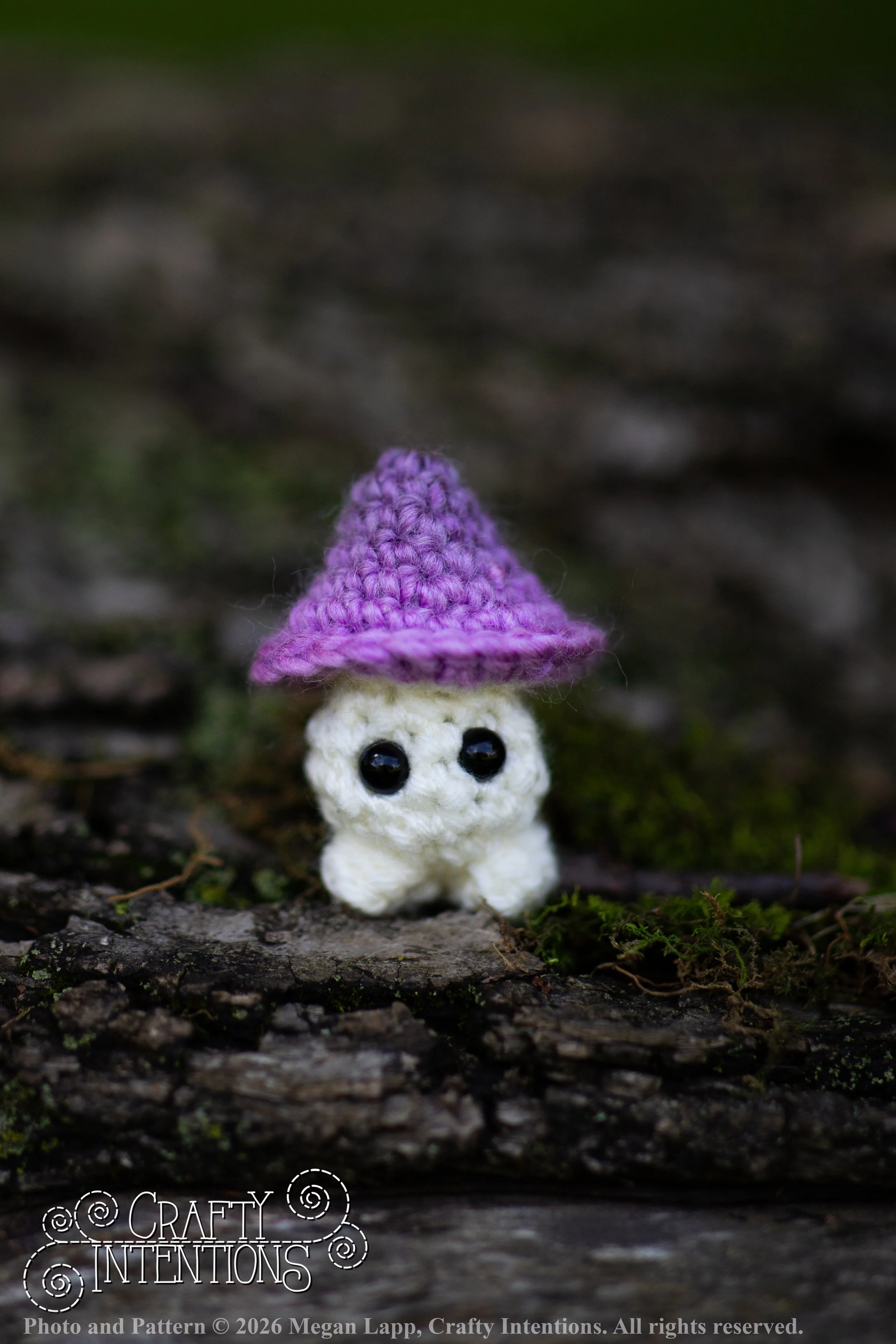 IMG_8959Sprout wlac.jpg