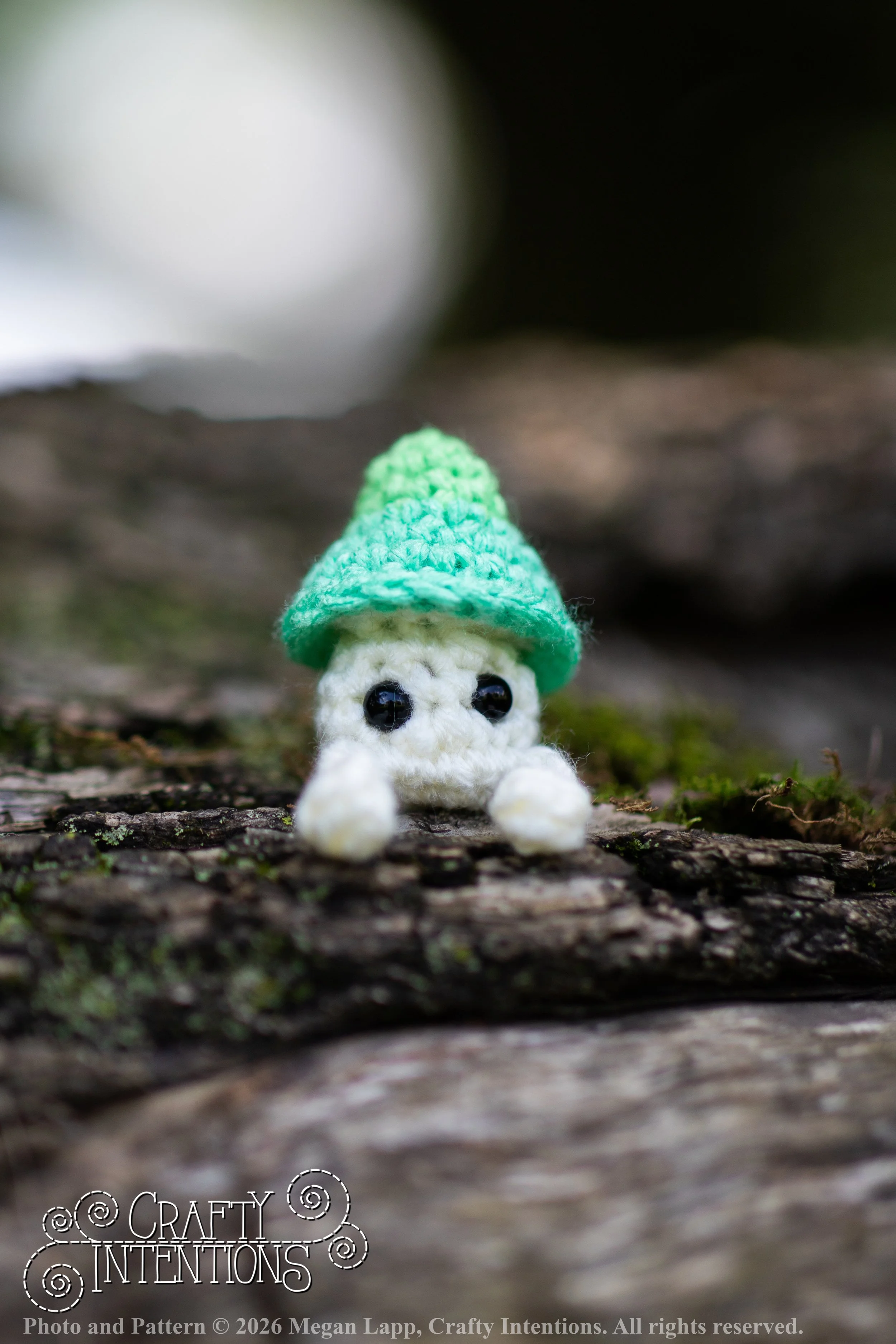 IMG_8975Sprout wlac.jpg