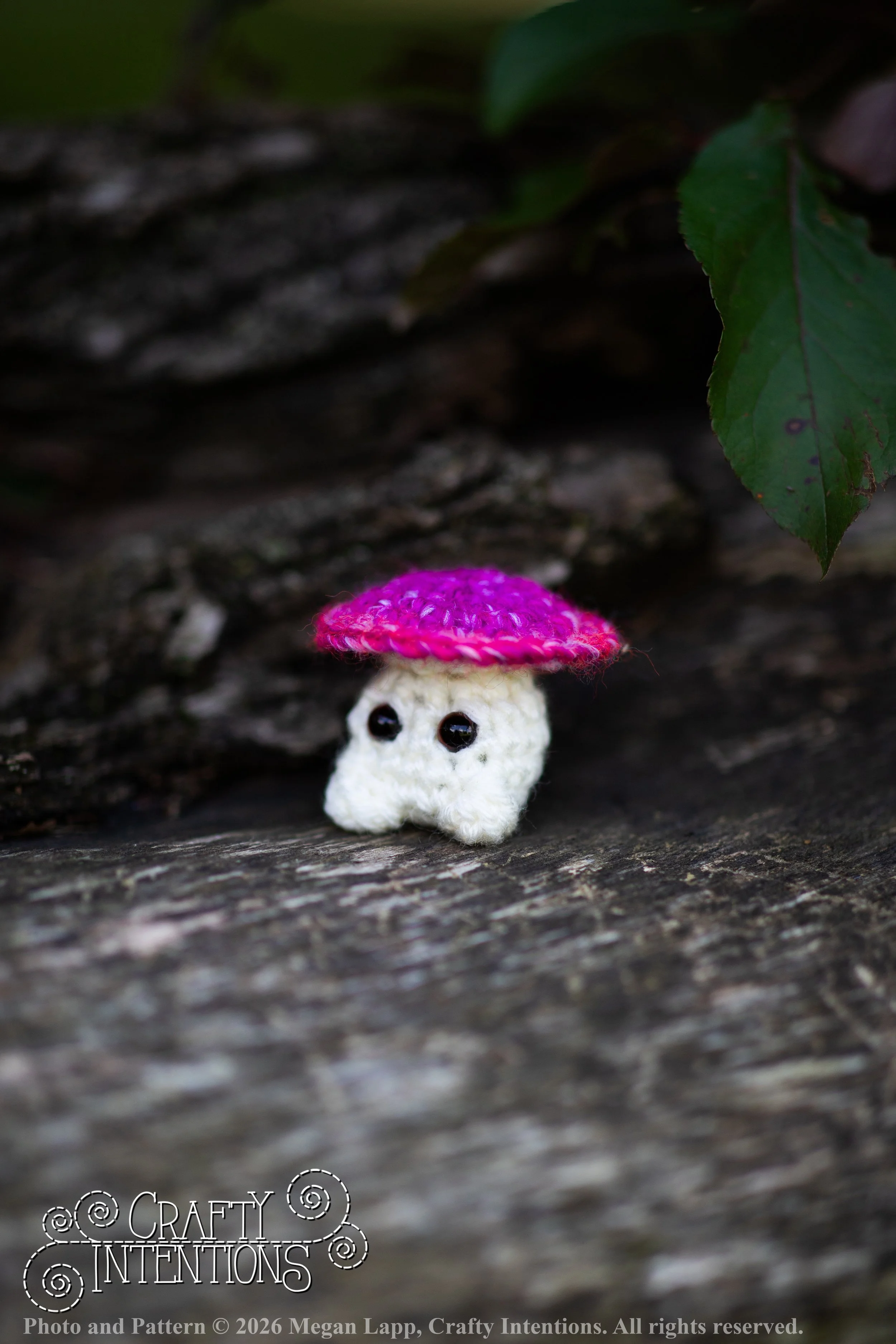 IMG_8995Sprout wlac.jpg