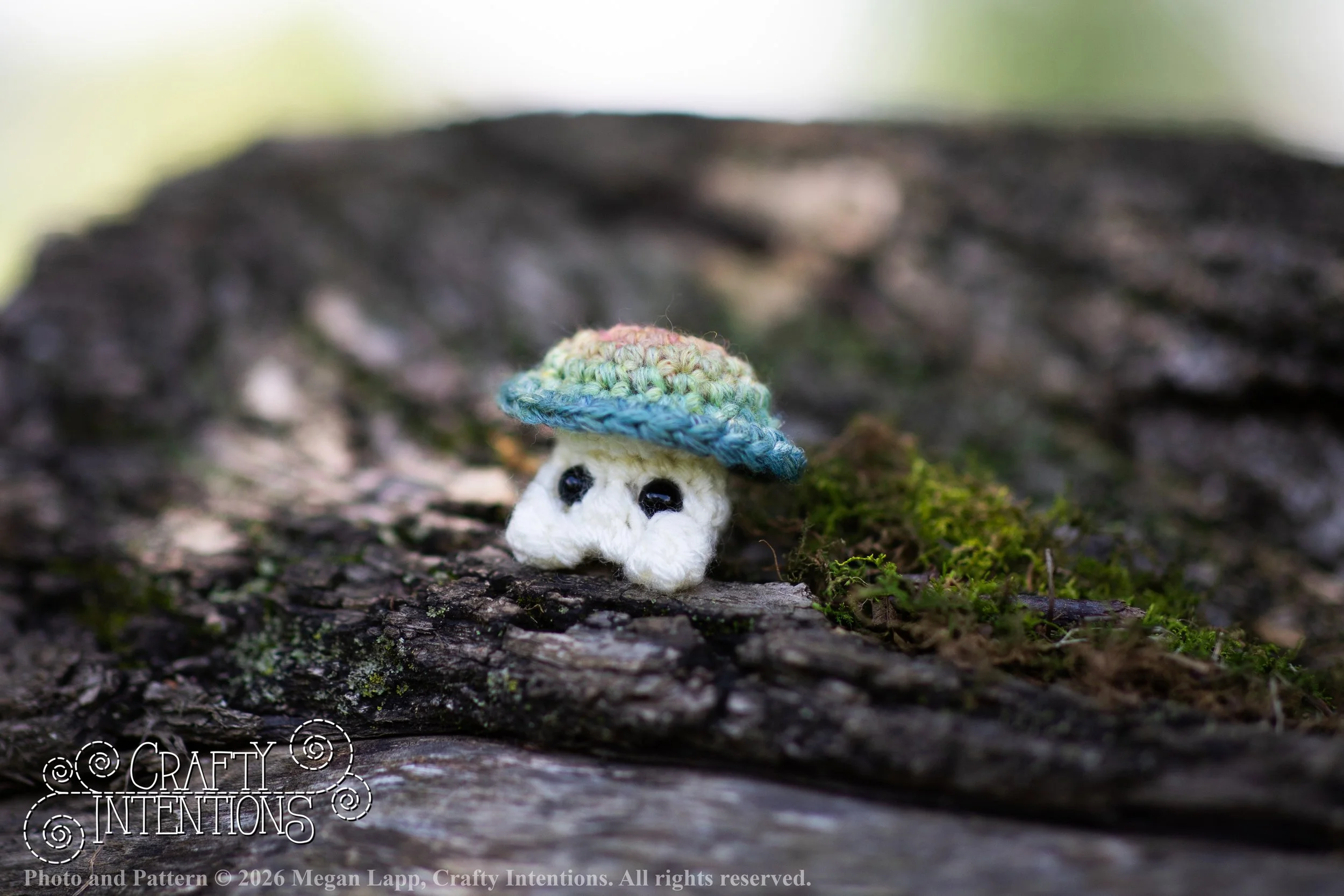 IMG_9004Sprout wlac.jpg