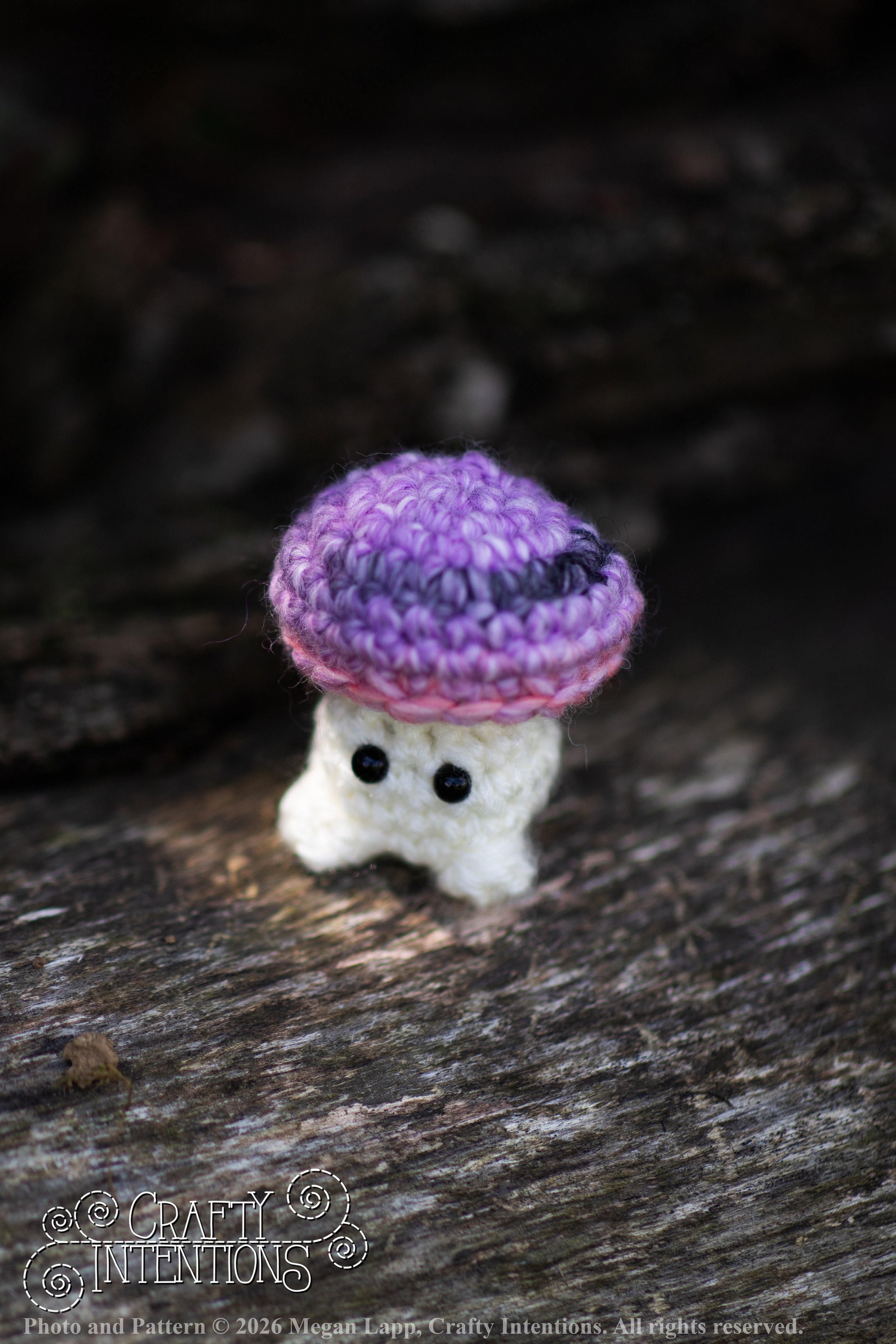 IMG_9013Sprout wlac.jpg