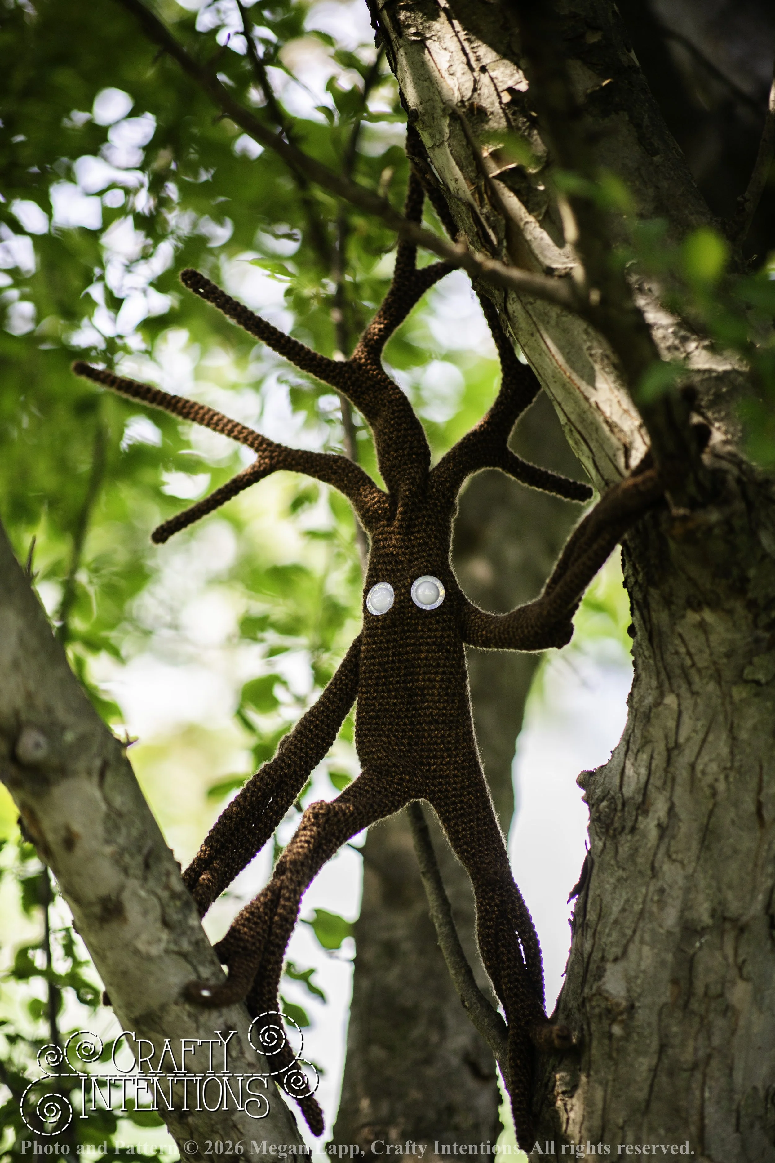 IMG_4842walkingtrees wlac.jpg