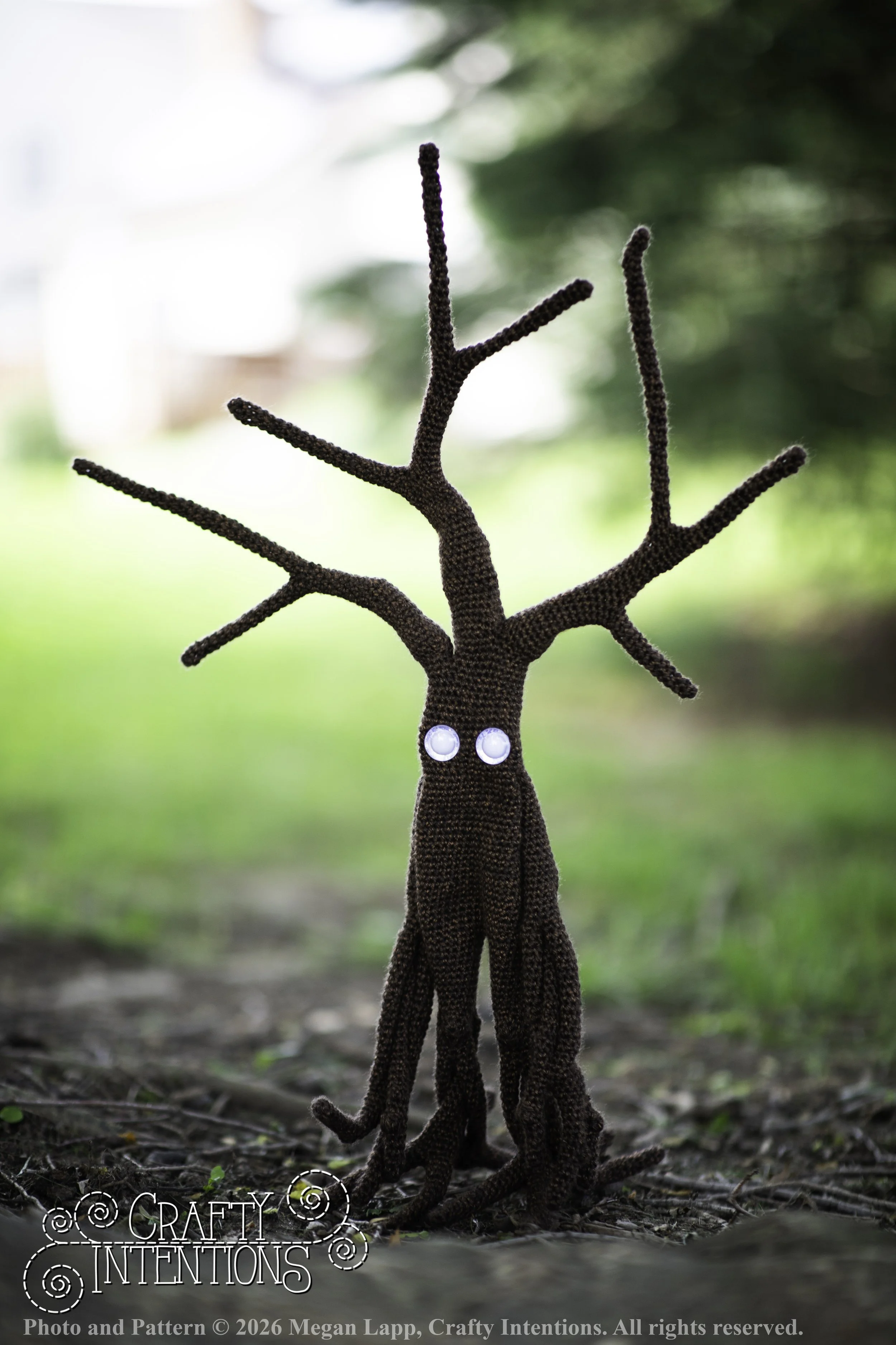 IMG_4855walkingtrees wlac.jpg