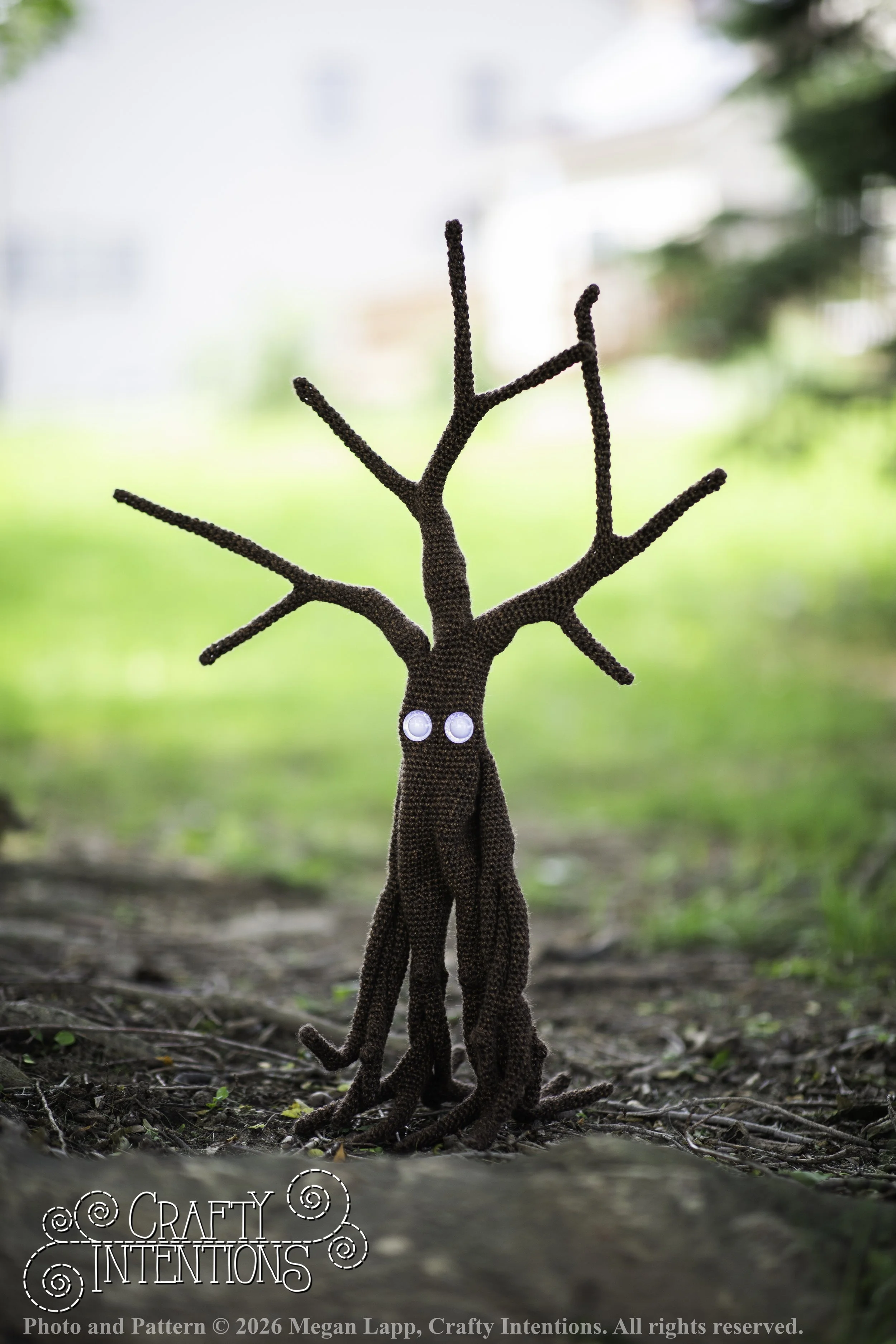 IMG_4863walkingtrees wlac.jpg
