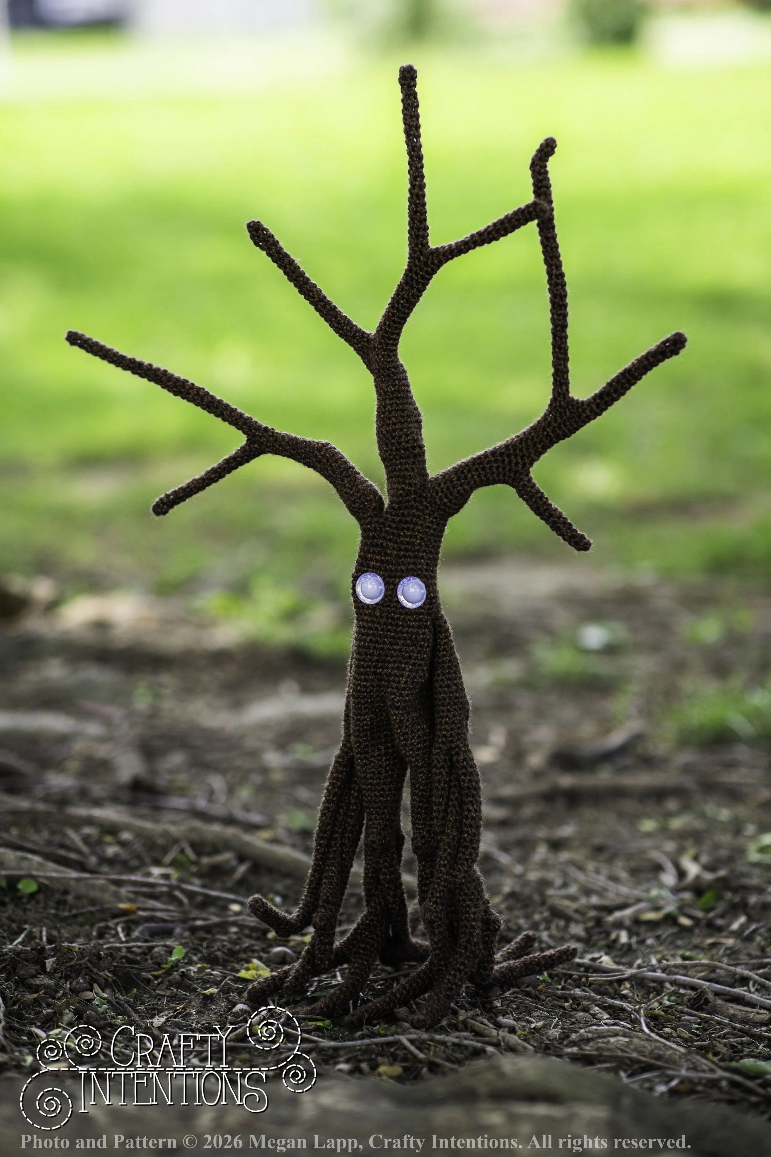 IMG_4875walkingtrees2 wlac.jpg