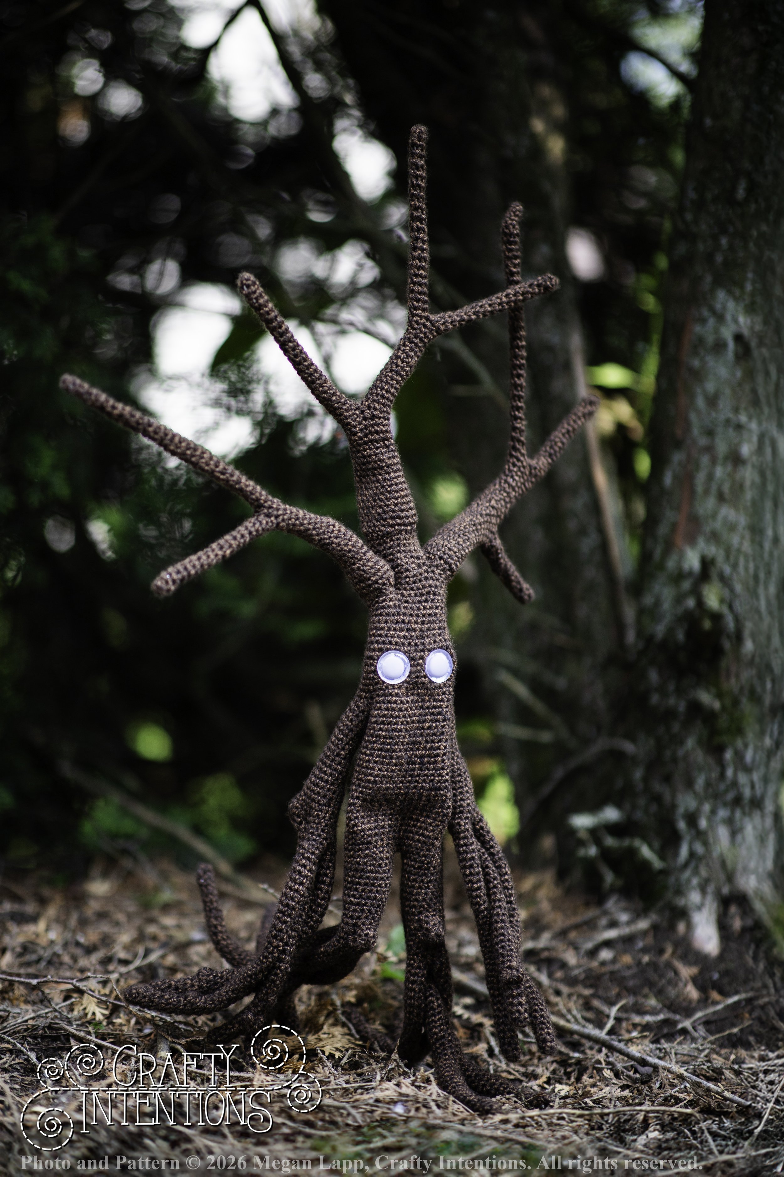 IMG_4879walkingtrees2 wlac.jpg