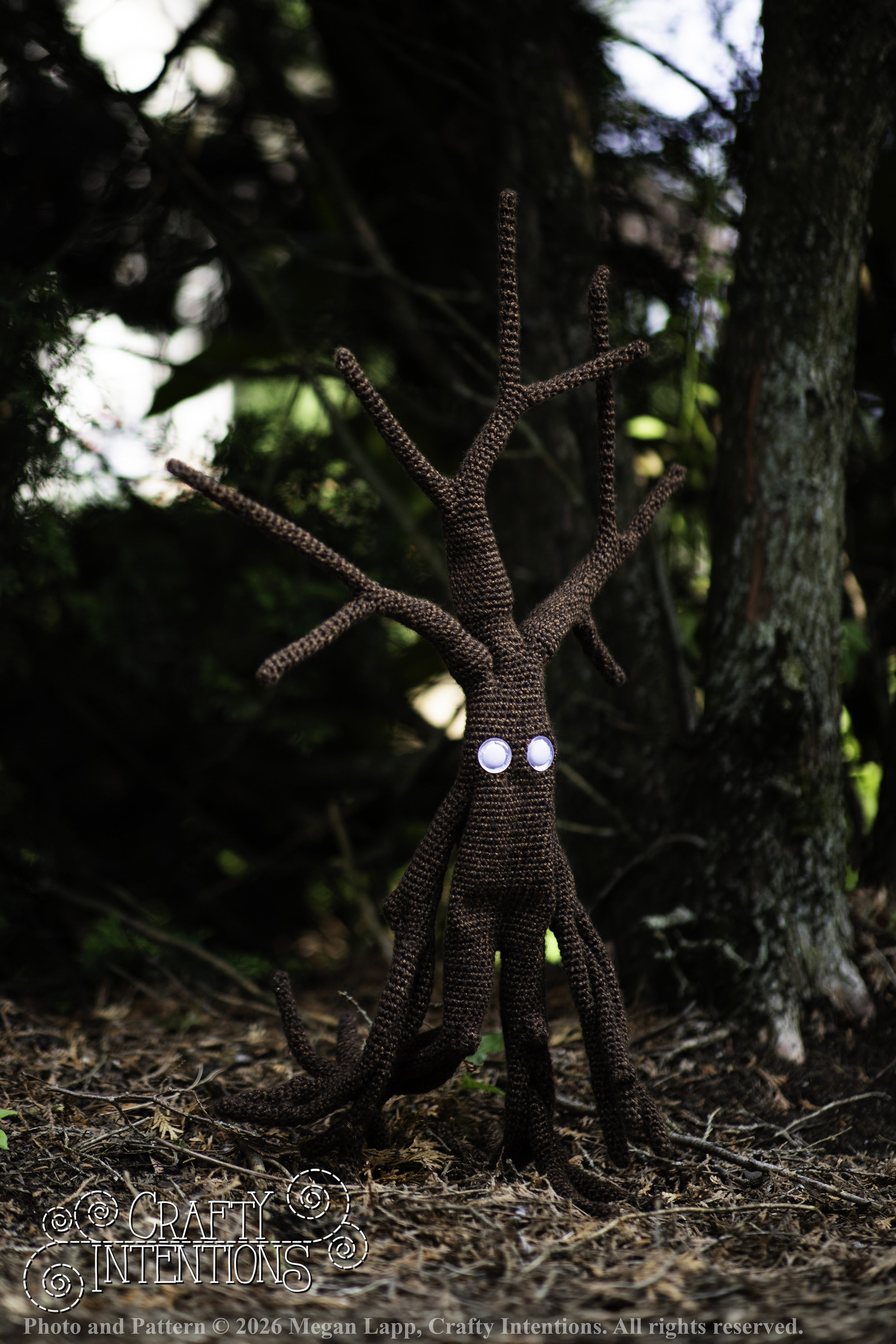 IMG_4902walkingtrees2 wlac.jpg