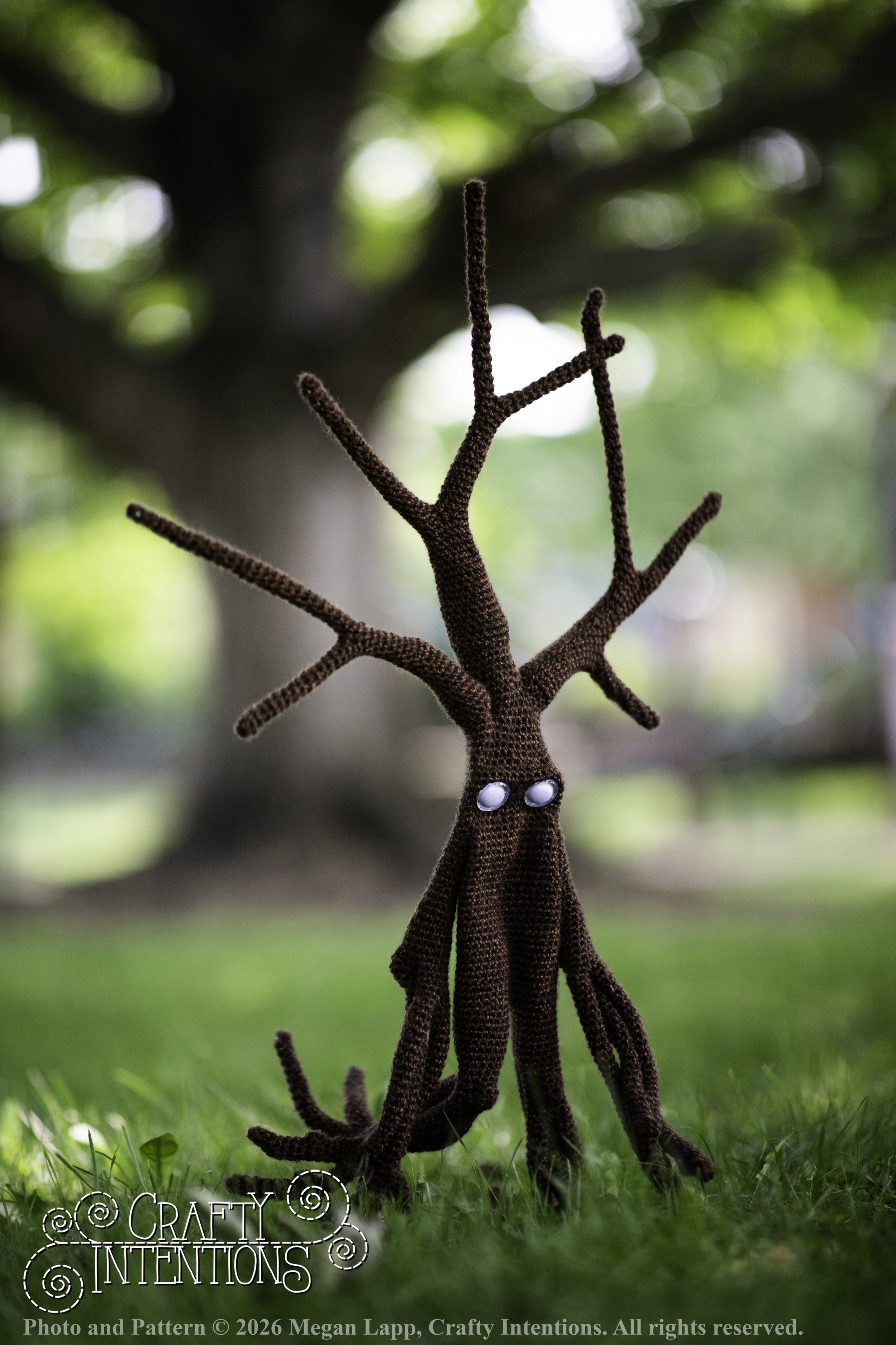 IMG_4910walkingtrees wlac.jpg