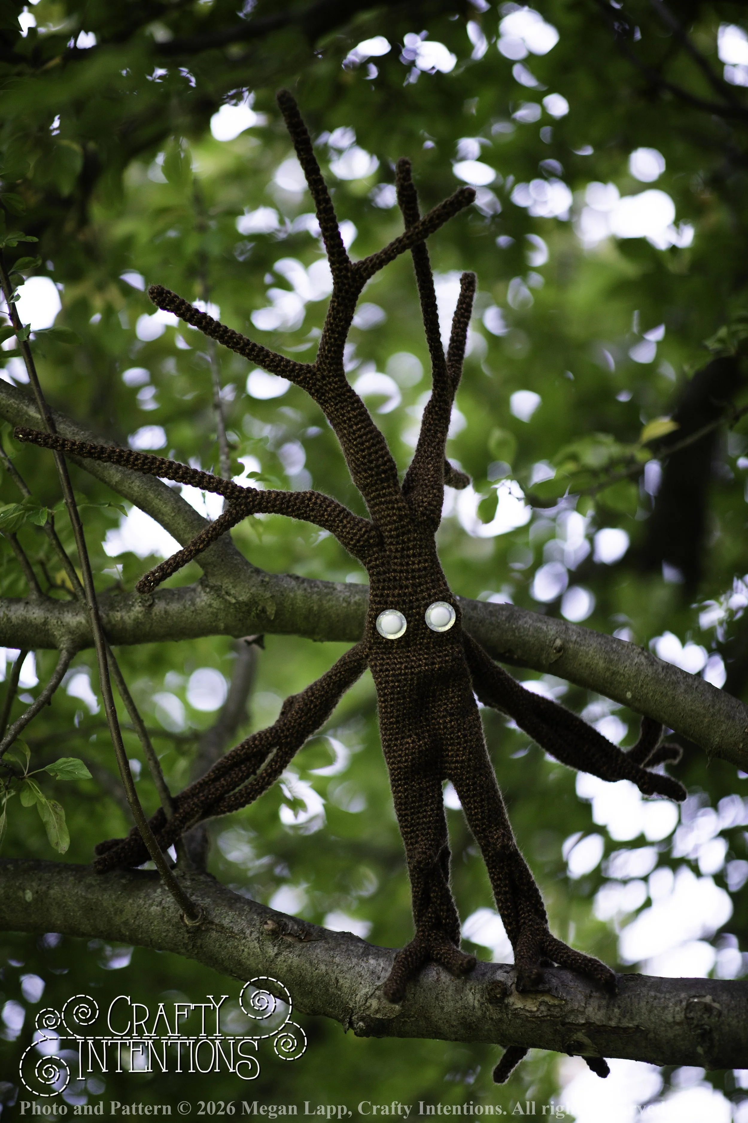IMG_4918walkingtrees wlac.jpg