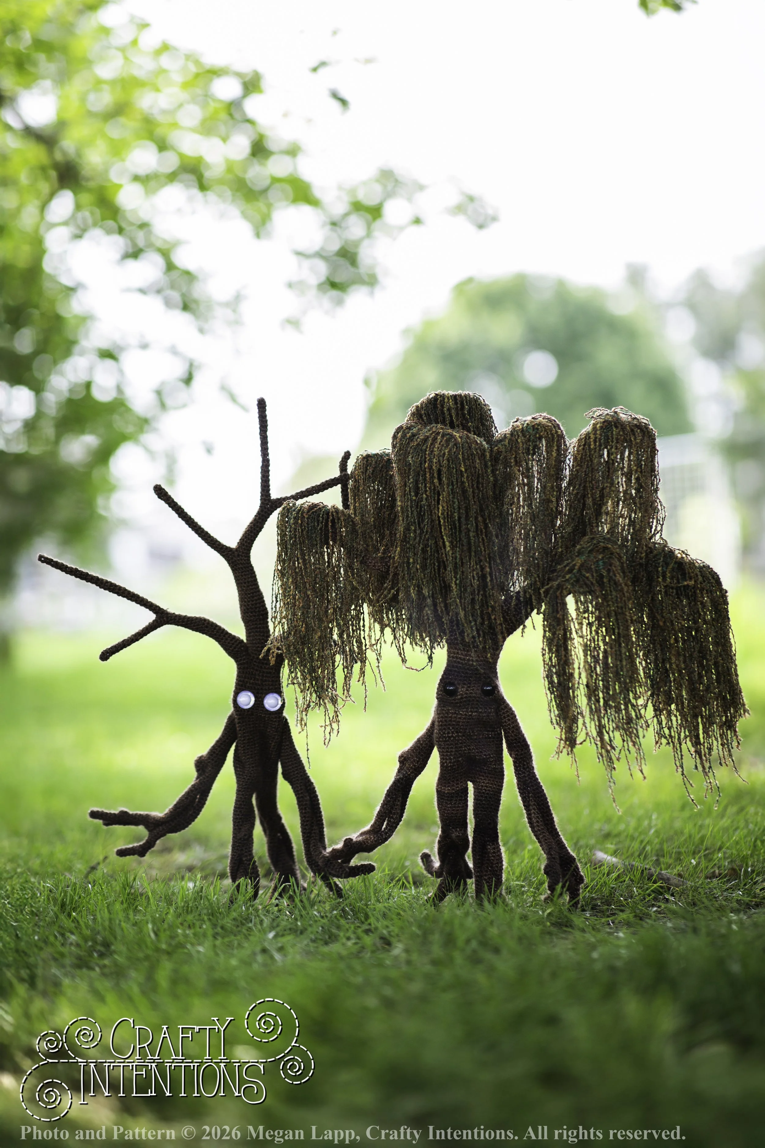 IMG_4969walkingtrees wlac.jpg