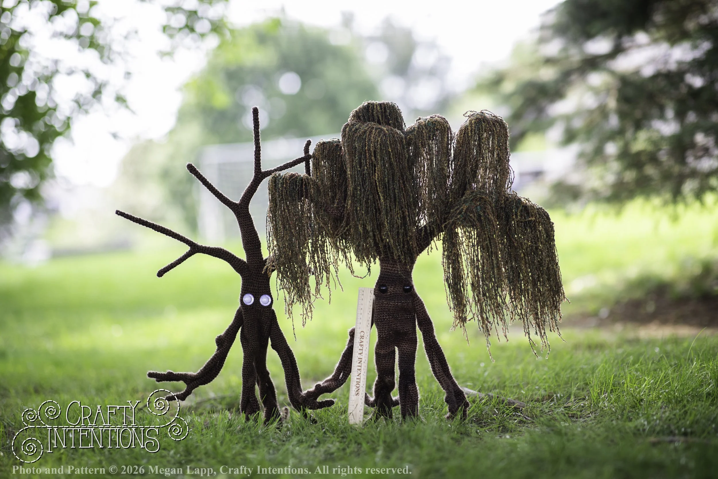 IMG_4964walkingtrees wlac.jpg