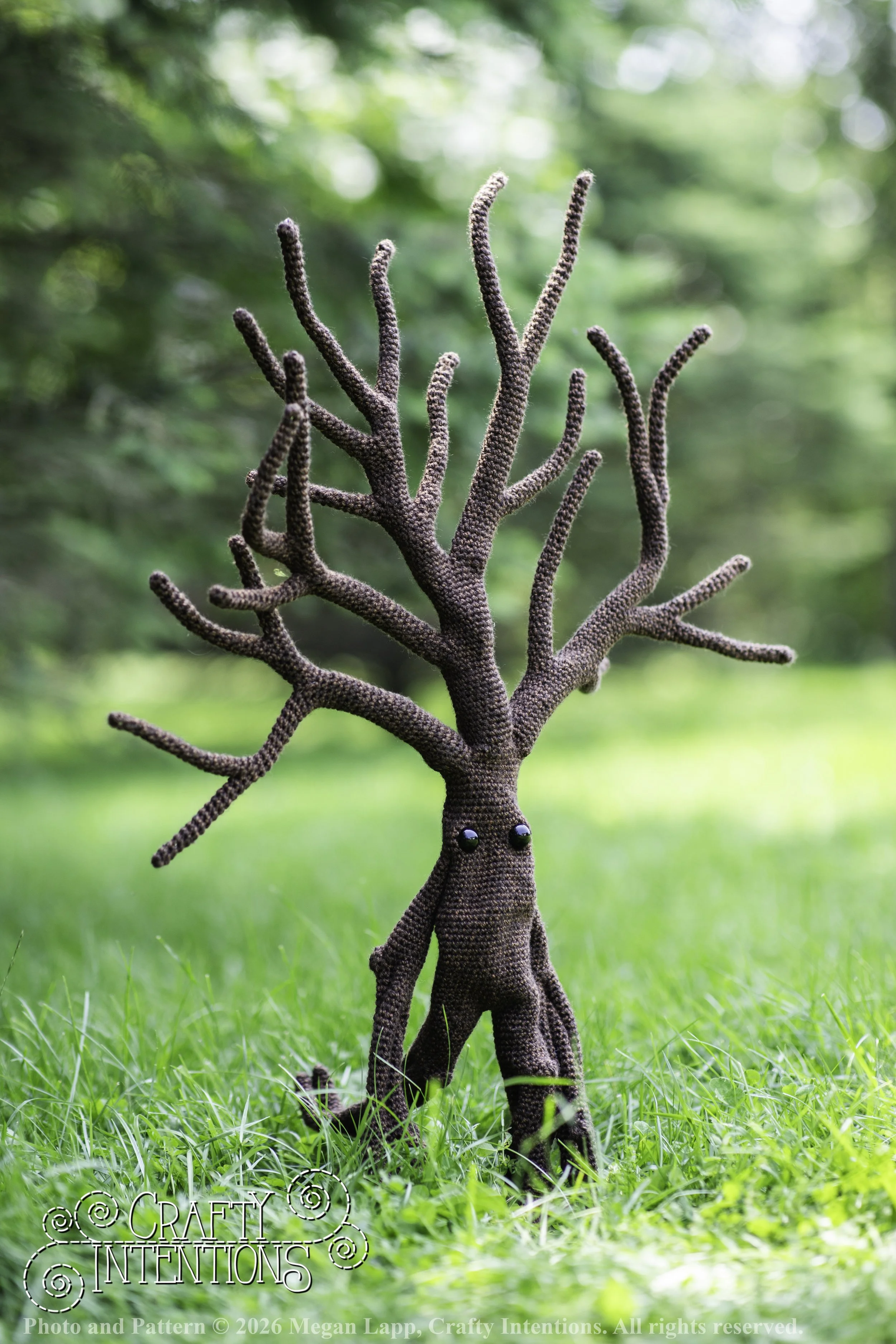 IMG_4536walkingtreesaddon wlac.jpg
