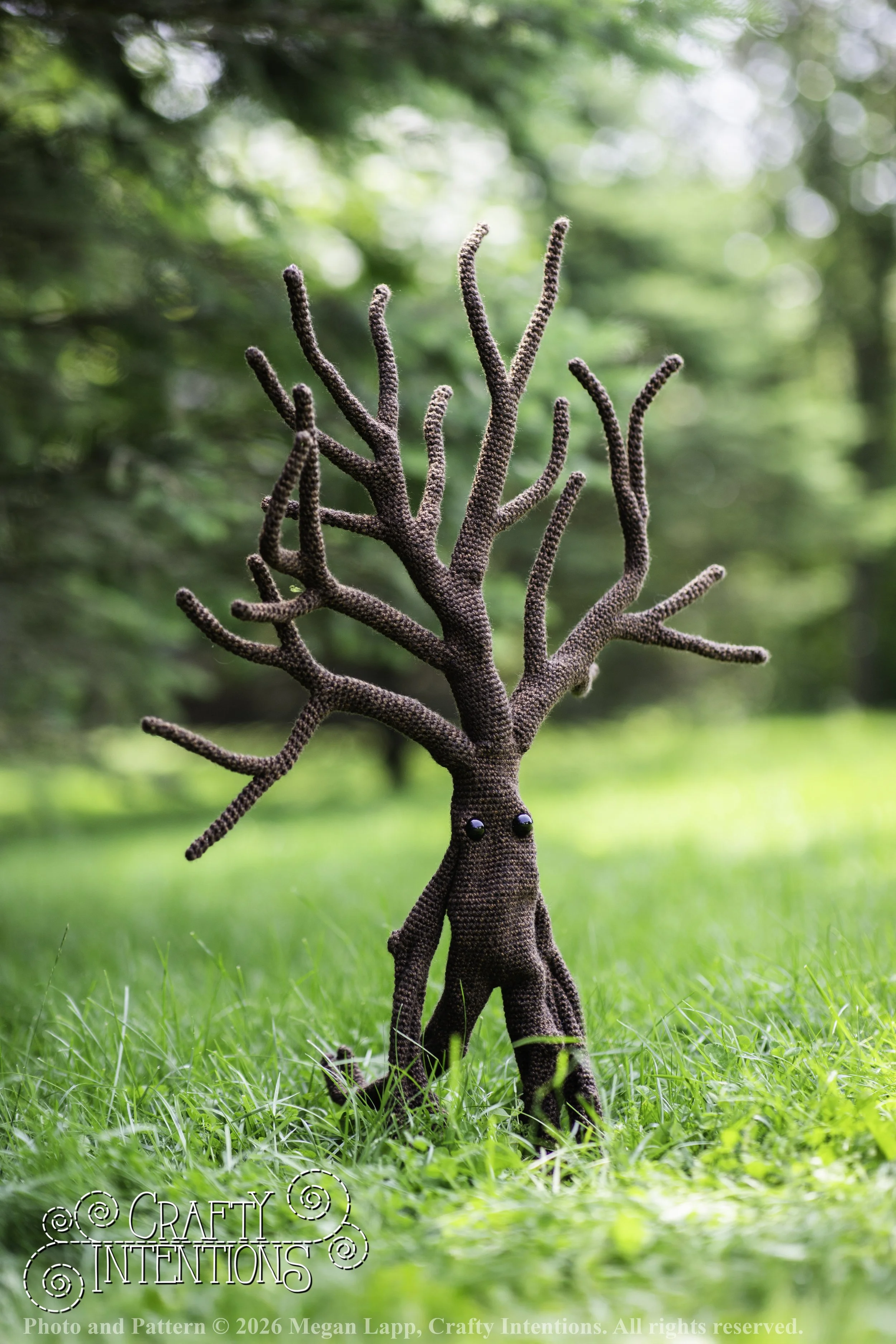 IMG_4540walkingtreesaddon2 wlac.jpg