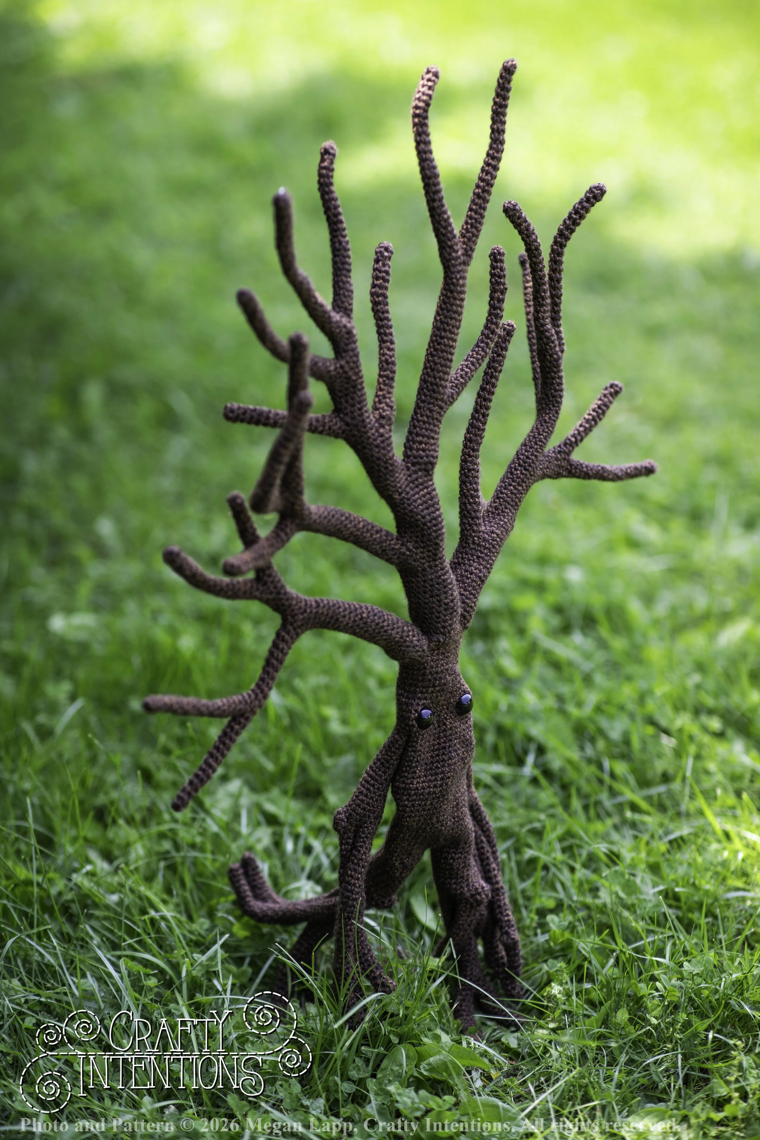 IMG_4551walkingtreesaddon wlac.jpg