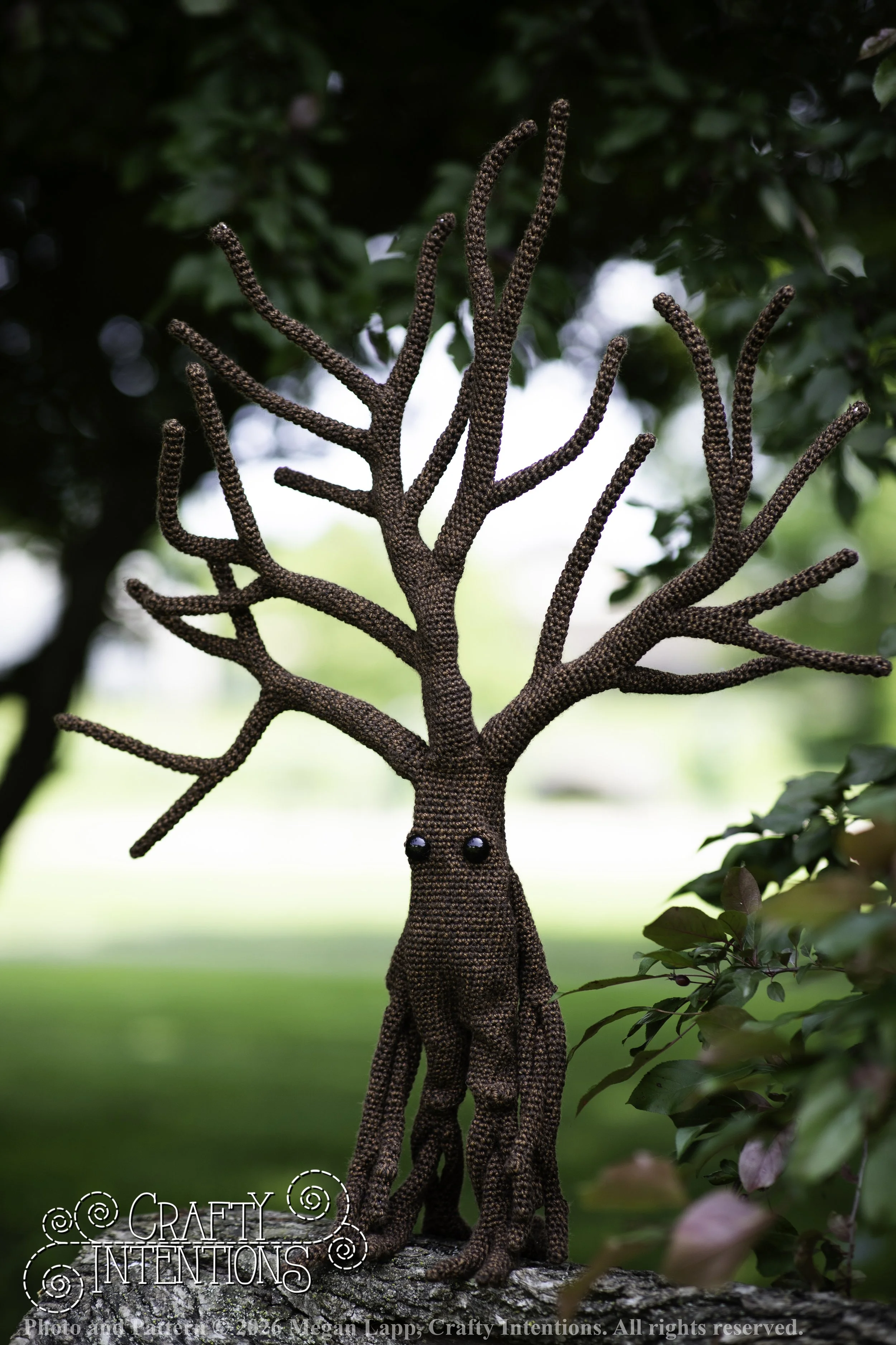IMG_4556walkingtreesaddon wlac.jpg