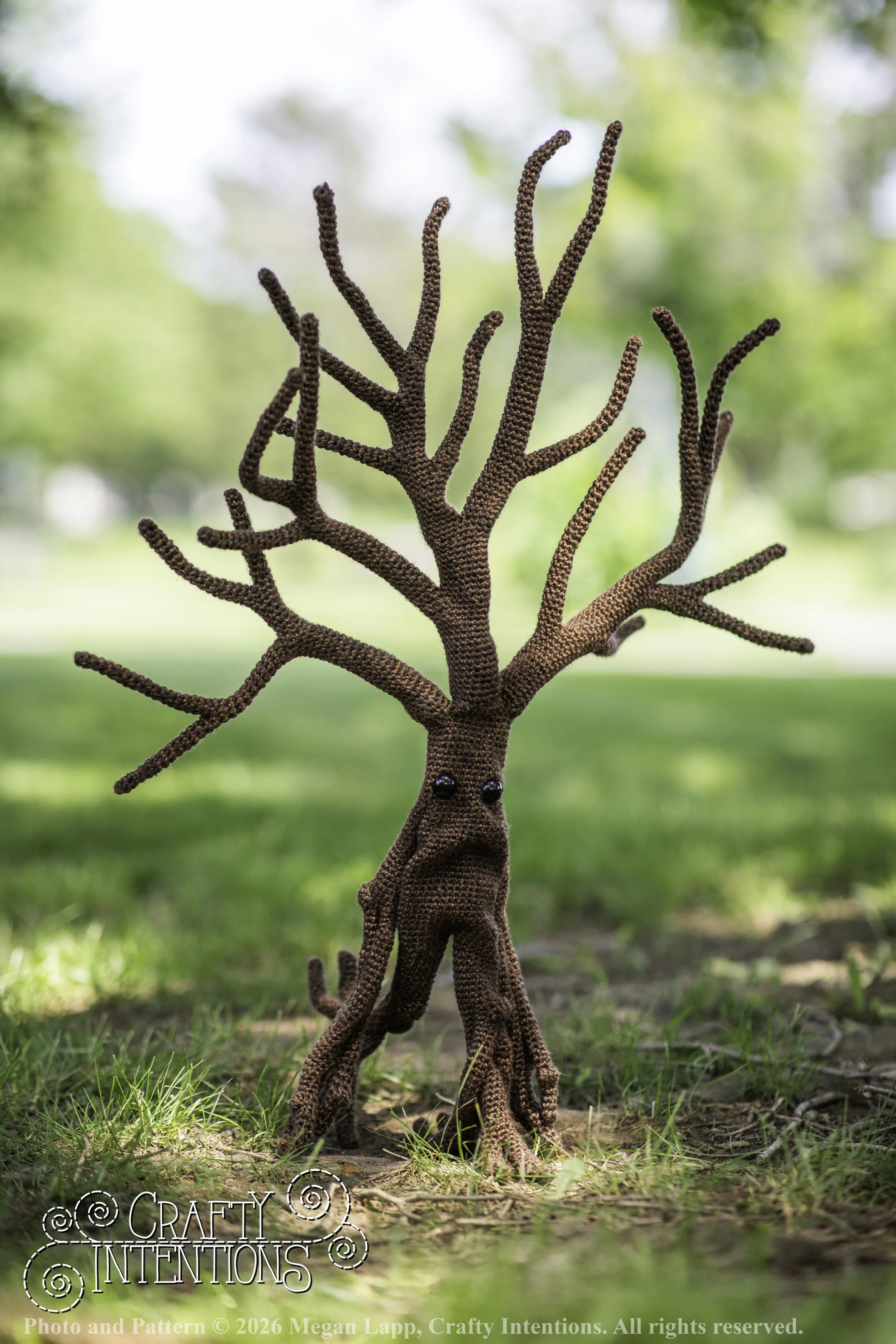 IMG_4566walkingtreesaddon2 wlac.jpg