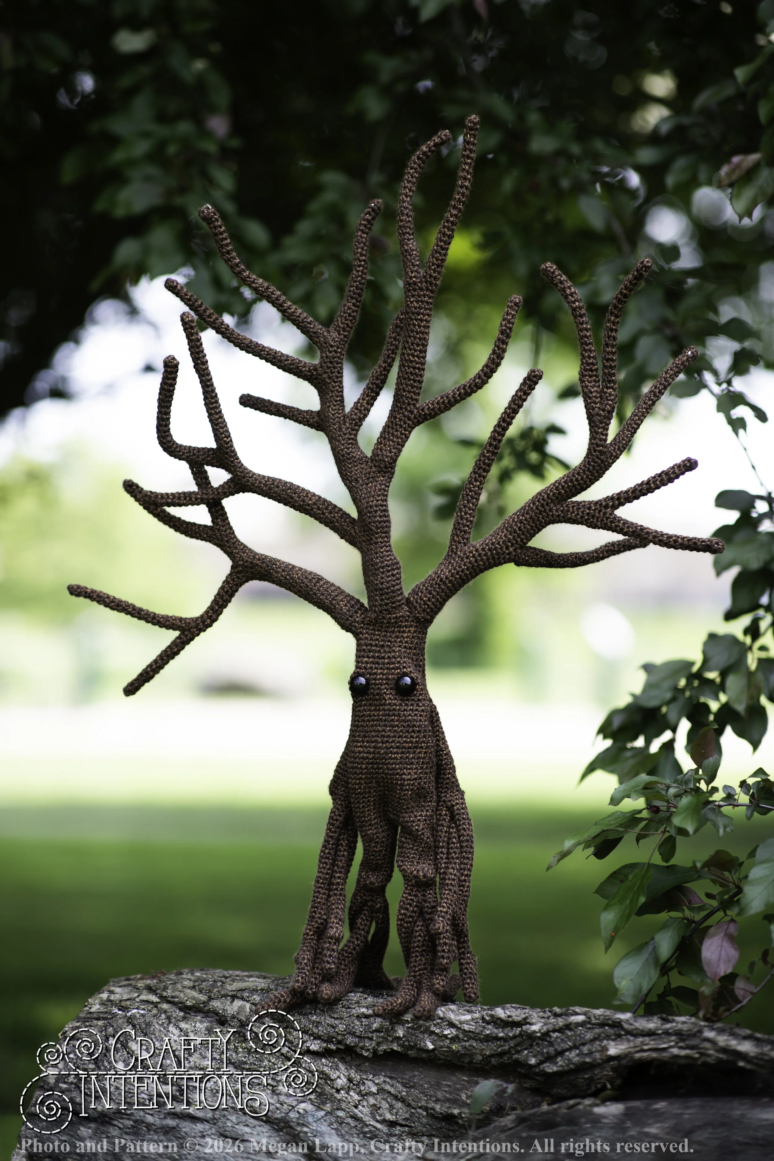 IMG_4560walkingtreesaddon2 wlac.jpg