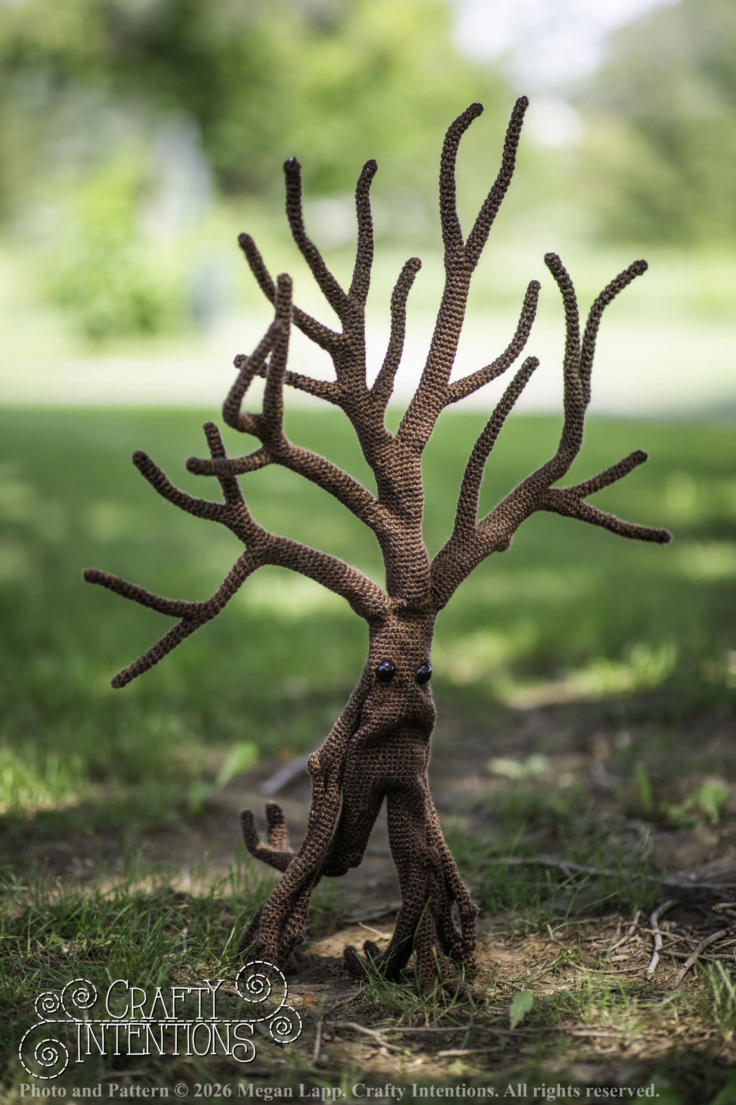 IMG_4573walkingtreesaddon wlac.jpg