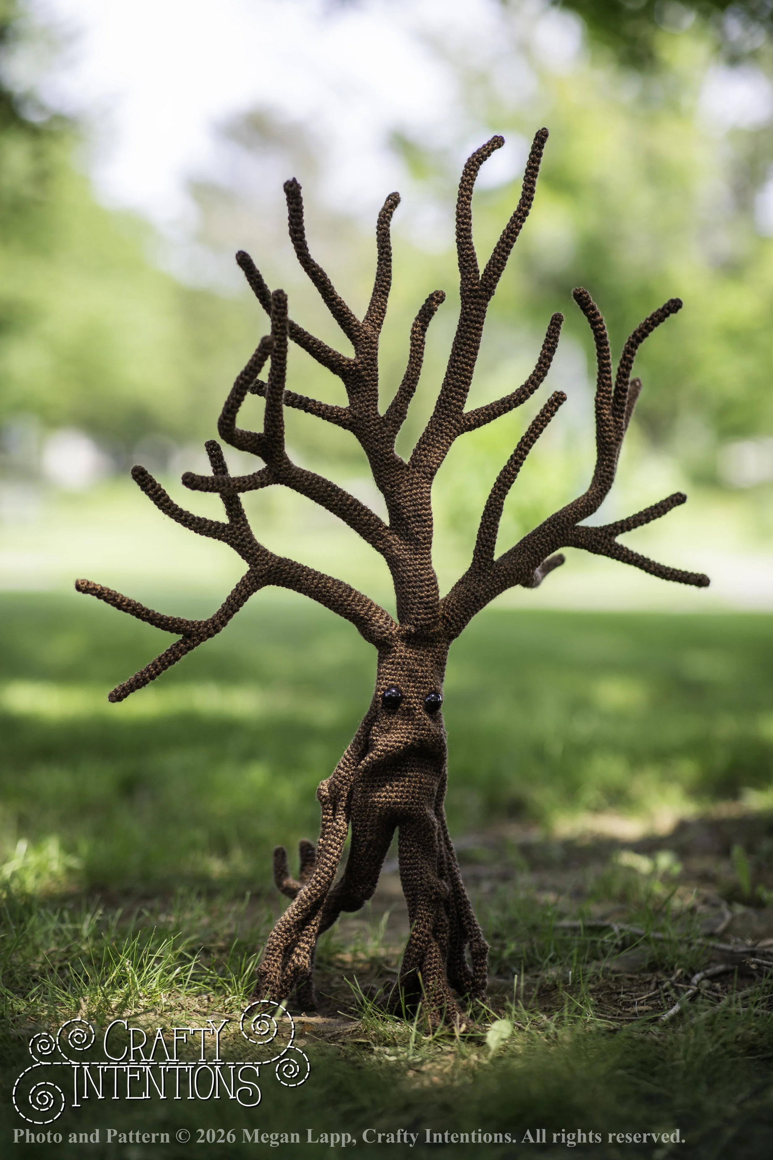 IMG_4569walkingtreesaddon wlac.jpg