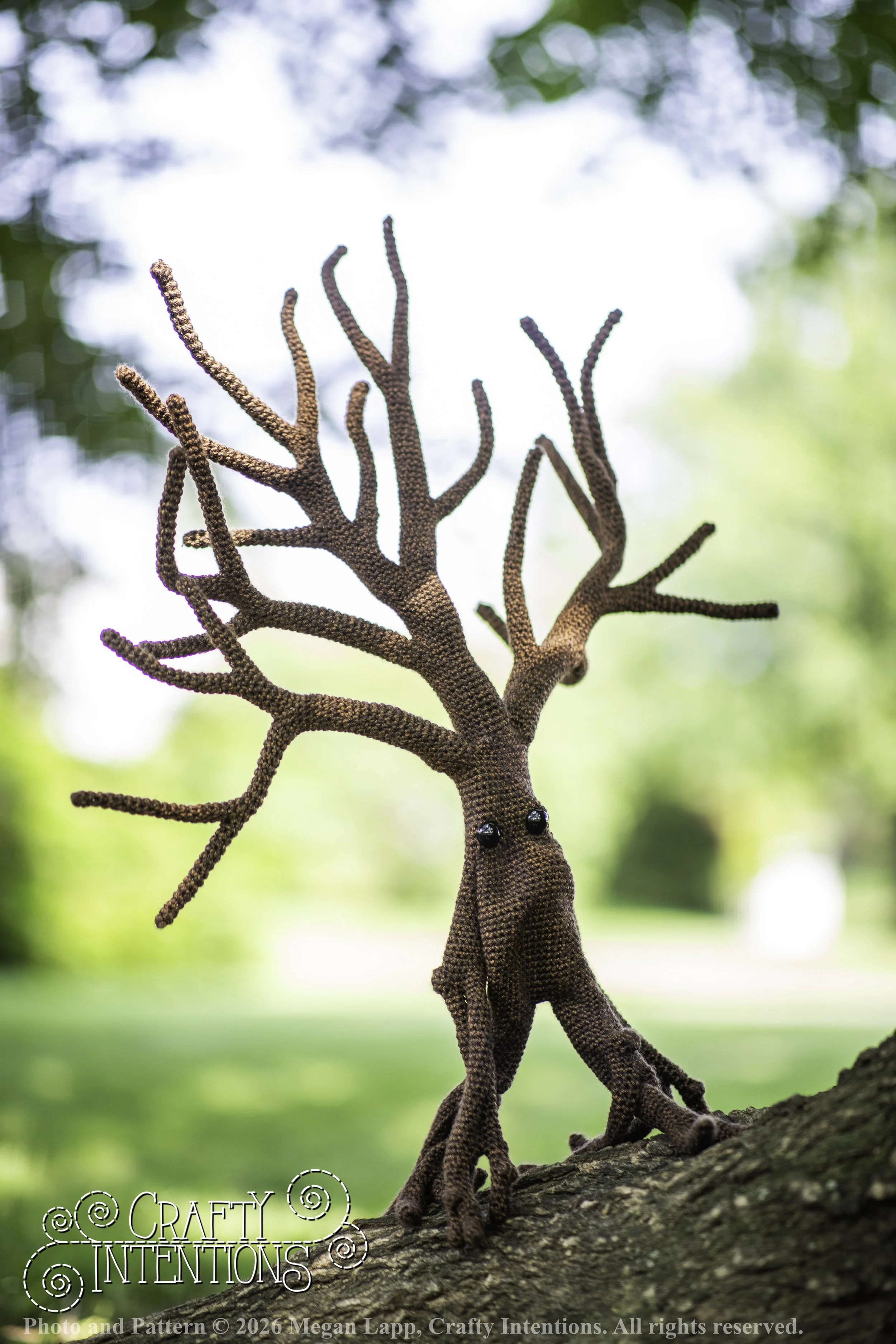 IMG_4577walkingtreesaddon wlac.jpg