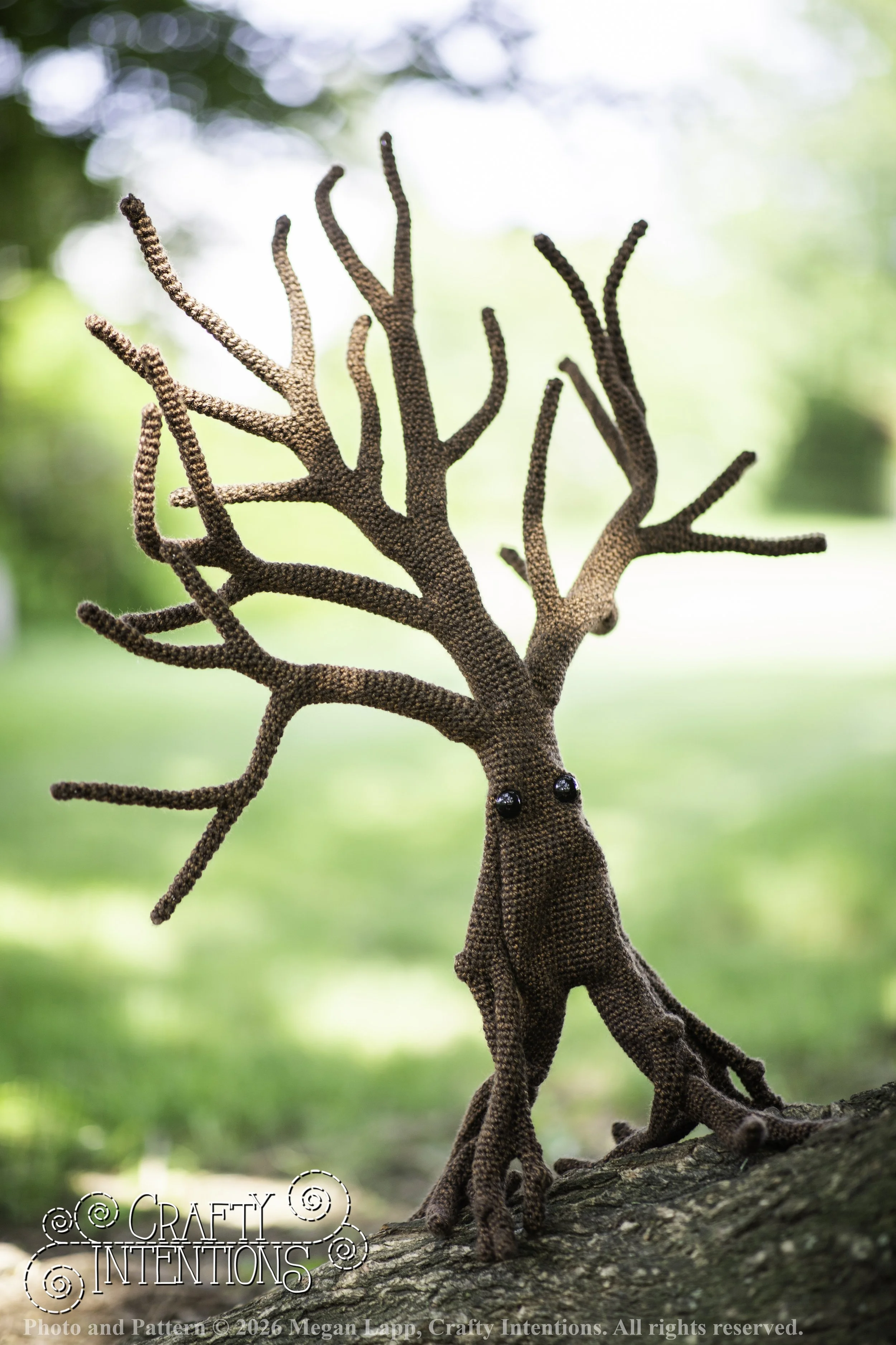 IMG_4580walkingtreesaddon wlac.jpg